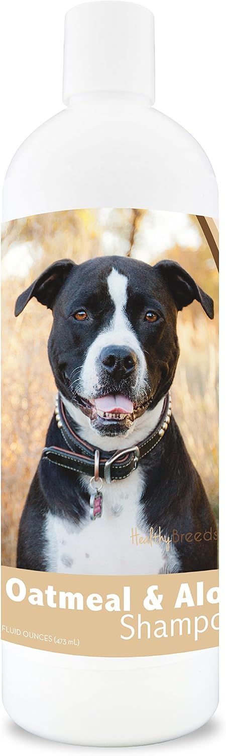 Healthy Breeds Bernese Mountain Dog Oatmeal Shampoo with Aloe 16 oz