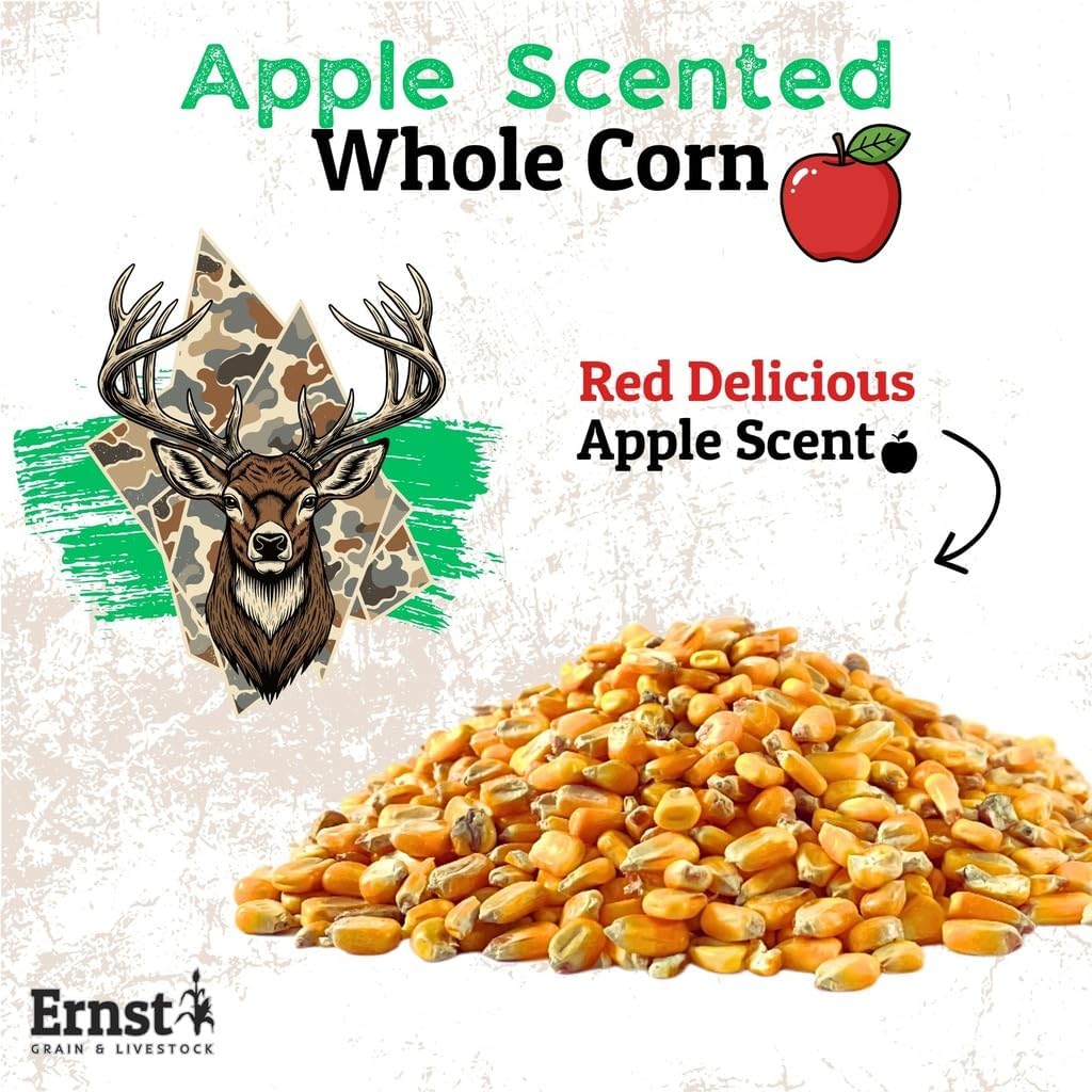 Ernst Grain & Livestock Whole Corn – Perfect Feed for Deer, Squirrels, Chickens, Ducks, Rabbits, Geese, and More! (46 Pound)