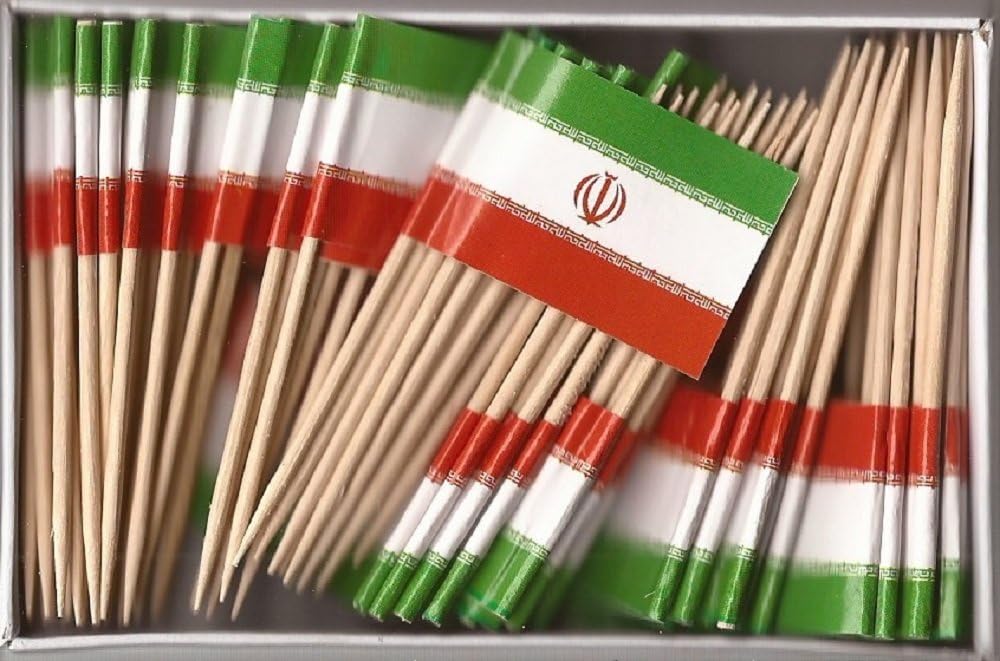 One Box of 100 Nicaragua Toothpick Flags, 100 Small Mini International Flag Cupcake Toothpicks or Cocktail Picks