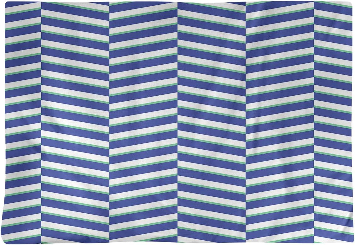 Dana Strider Two Color Fractured Stripes Table Placemat, 18 x 14, Blue & Green