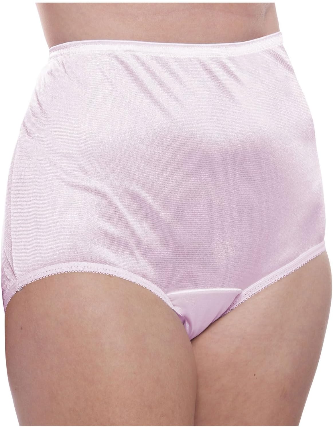 Teri Women's 331 Plain Jane Classic Nylon Silky-Smooth Lightweight Breathable Full Coverage Brief Panty - 4 Pack