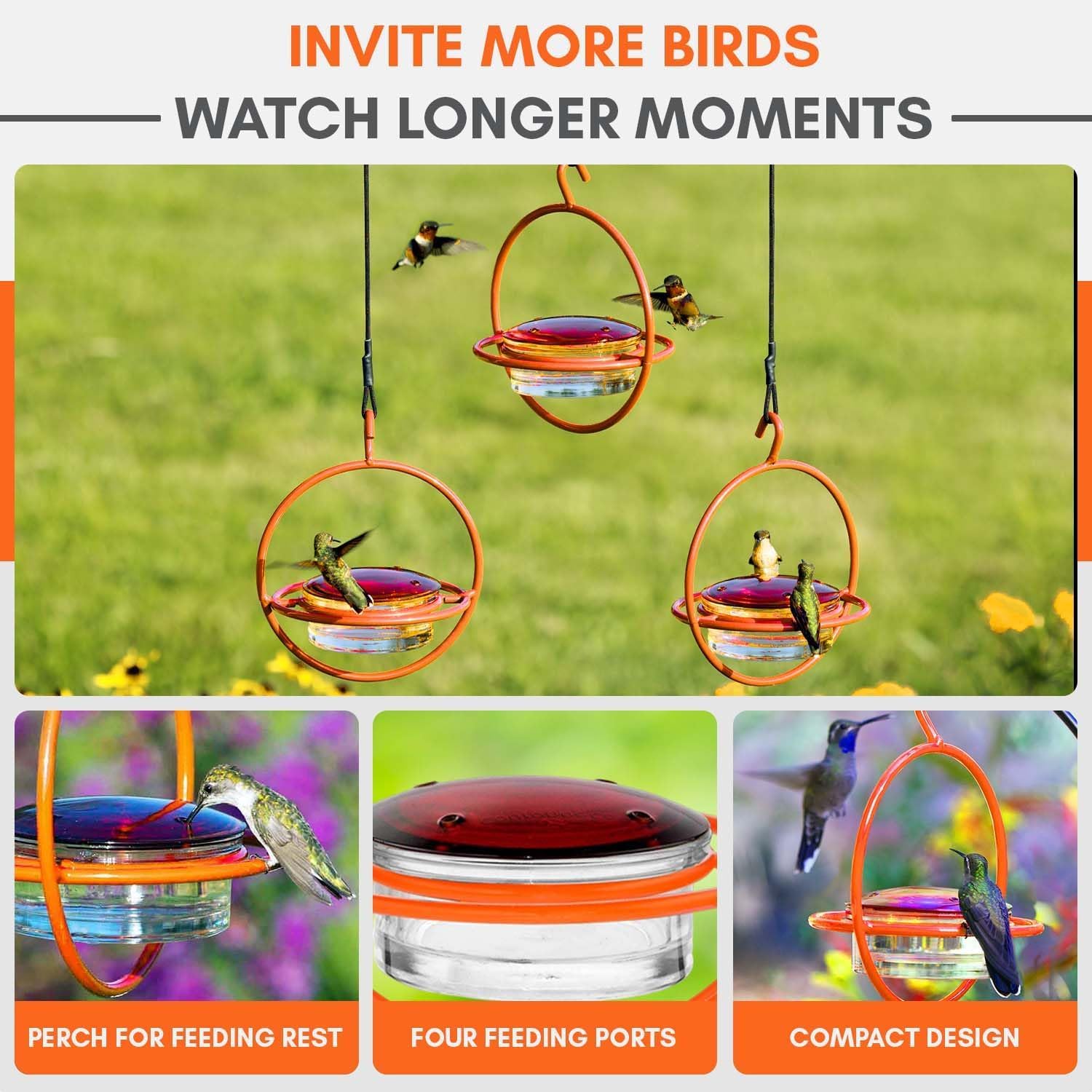 Hummingbird Feeder for Outdoors Hanging, 3.4 OZ Hummingbird Feeders, Glass Bowl with 4 Feeding Ports, Leak Proof Lid & Circular Perch, Bird Feeder (1, Red)