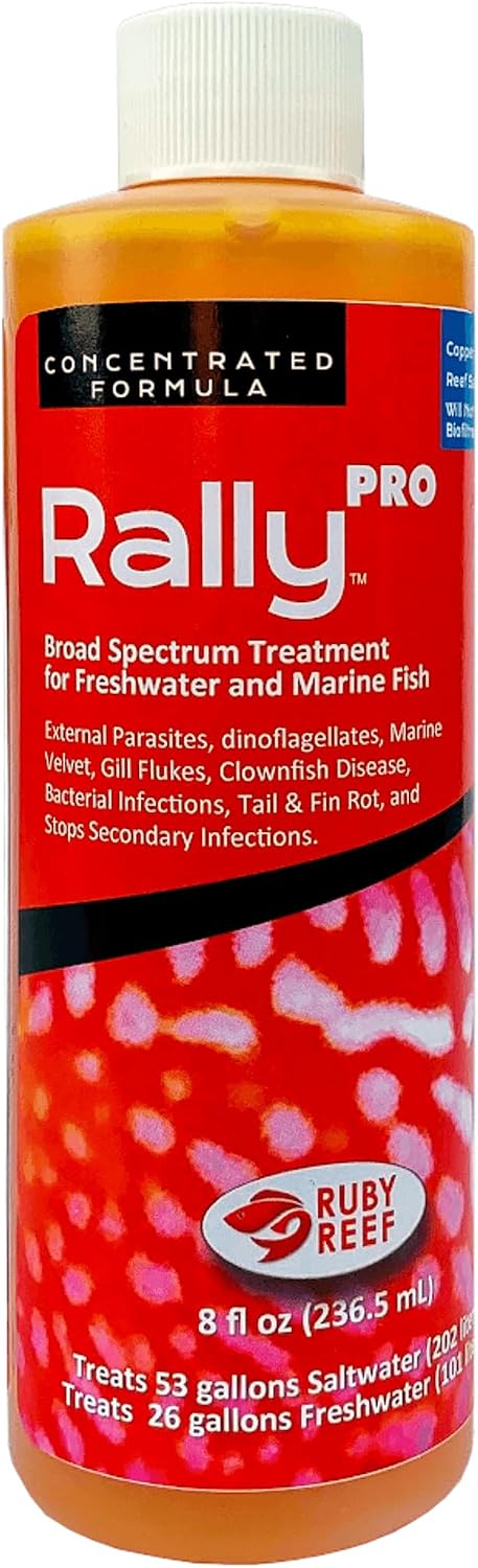 Rally Pro 8 oz. Round ( Pack of 2 )