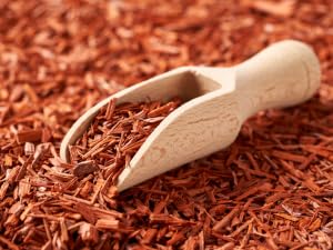 Sandalwood Shaving Soap