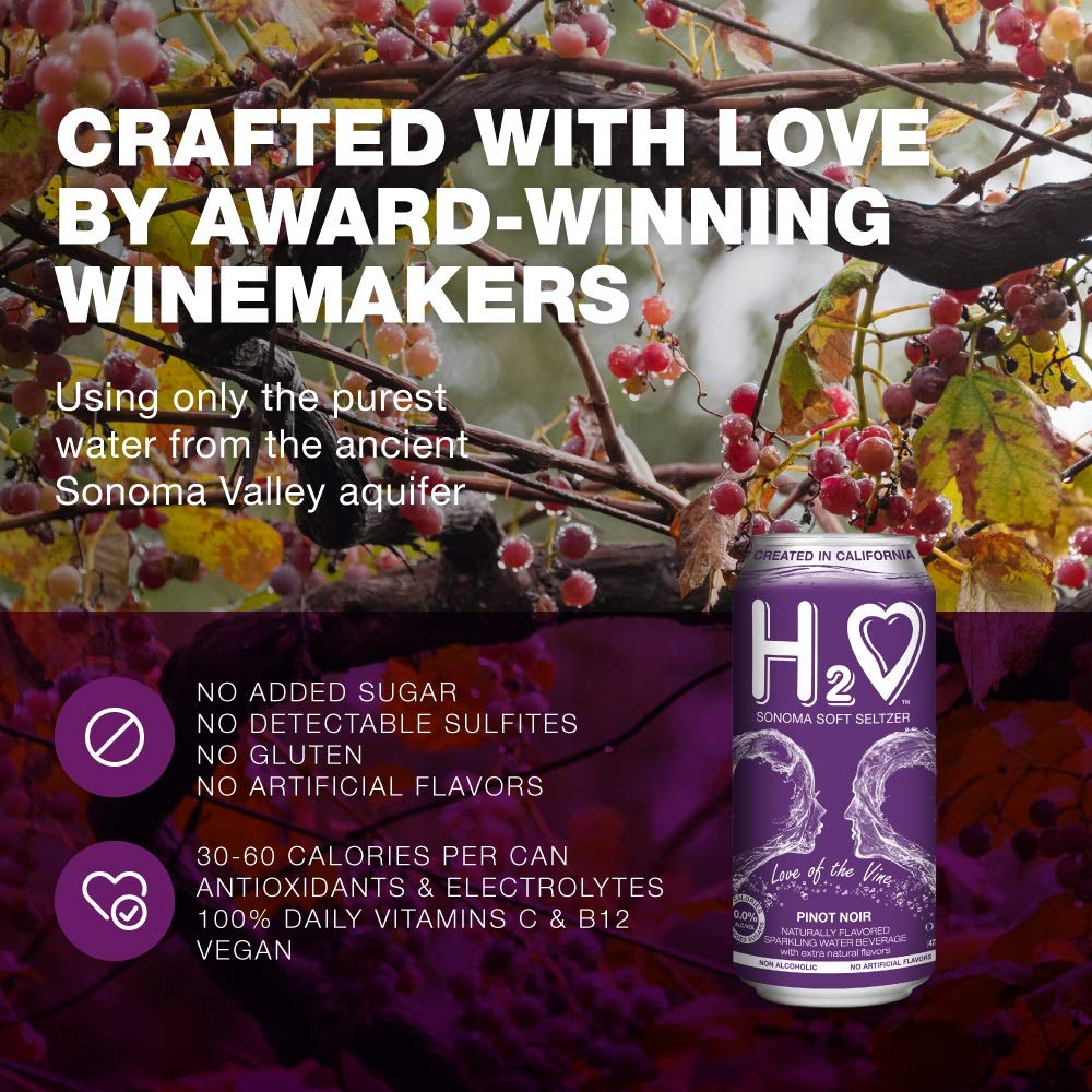 H2o - The Best Non Alcoholic Red Wine - Infused California Sparkling Refreshment, 0.0% Alcohol, (Pinot Noir, Pack of 4-12 Fl oz)