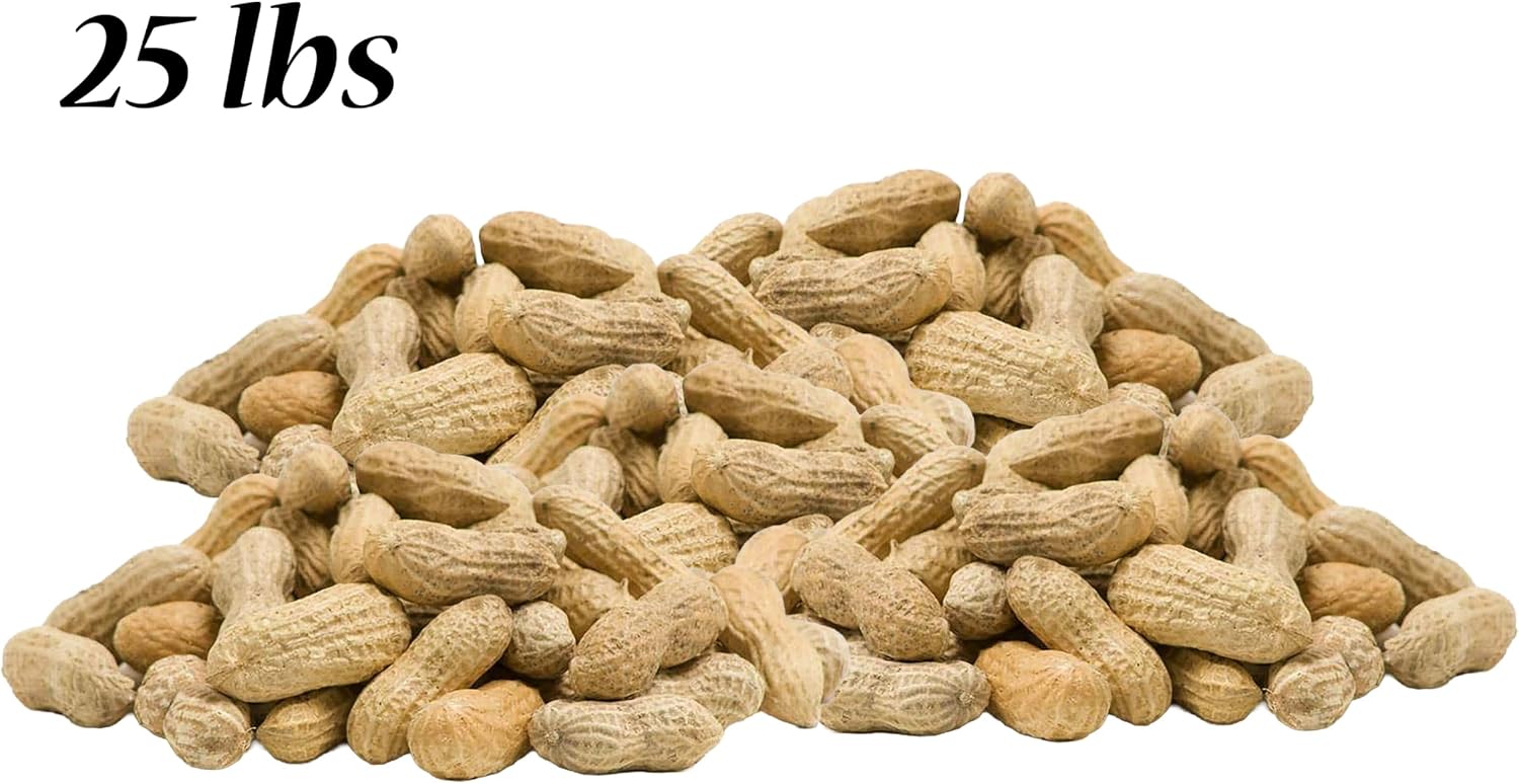 BestNest Peanuts in The Shell, 25 lbs.