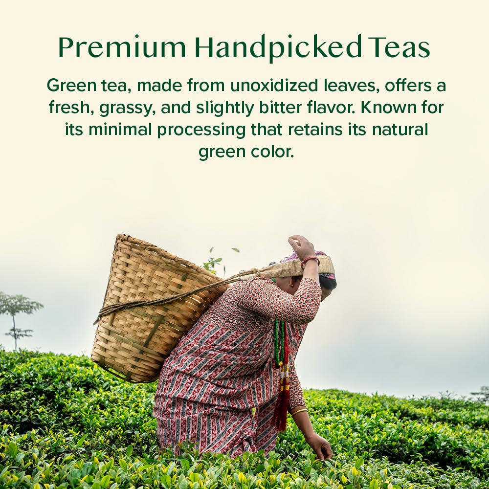 VAHDAM Assorted Green Tea Loose Leaf Tea Gift Set (10 Flavors) | Loose Leaf Green Tea Collection | Includes Himalayan Green Tea Varieties | Packed in Resealable Ziplock Pouches