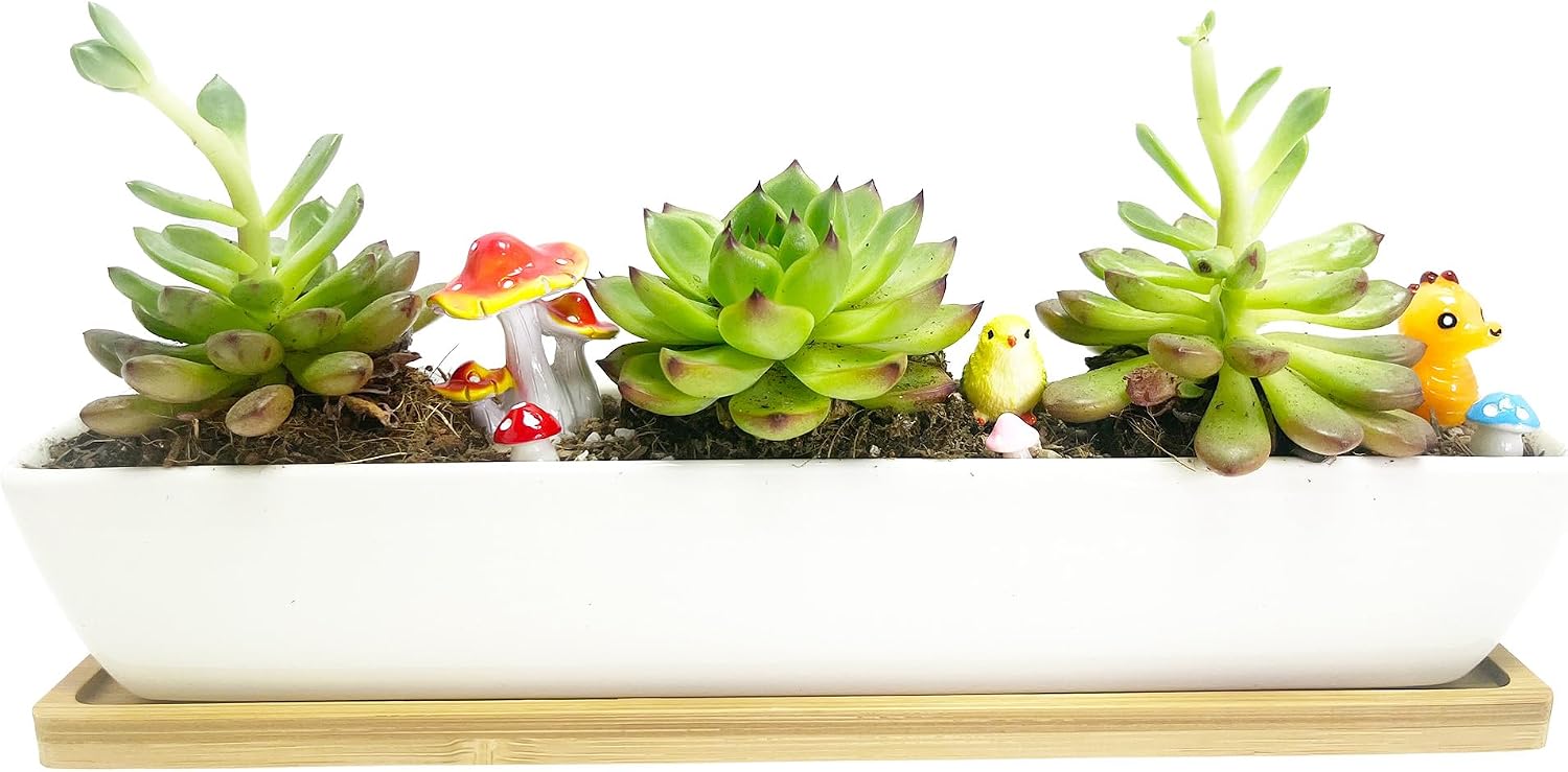 11inch Long Rectangle White Ceramic Succulent Planter Pots,with Bamboo Saucers. Product Size:11x2.23x1.69inch.
