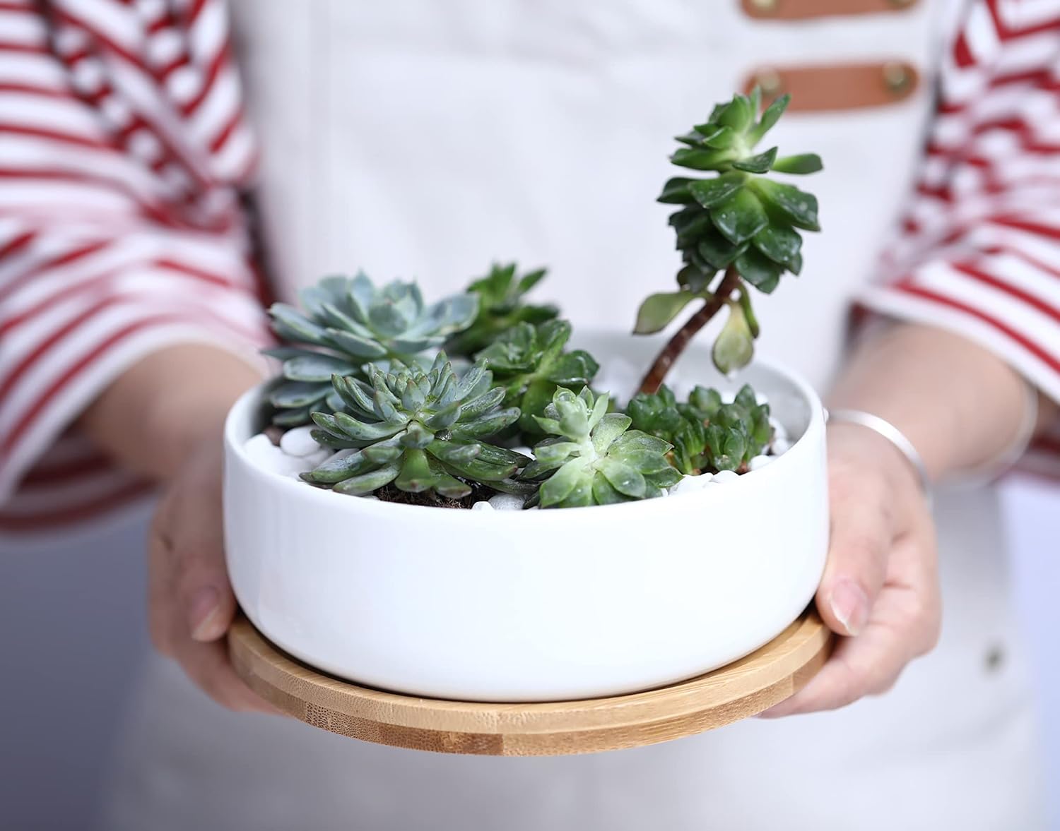 LANKER 6.3 Inch Round White Ceramic Succulent Planter Pot with Bamboo Tray