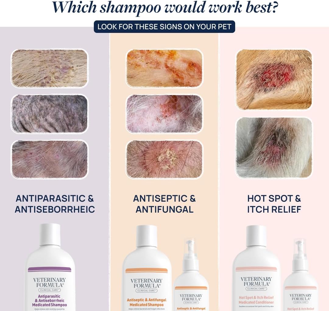 Veterinary Formula Clinical Care Antiseptic & Antifungal Spray, 8 fl oz