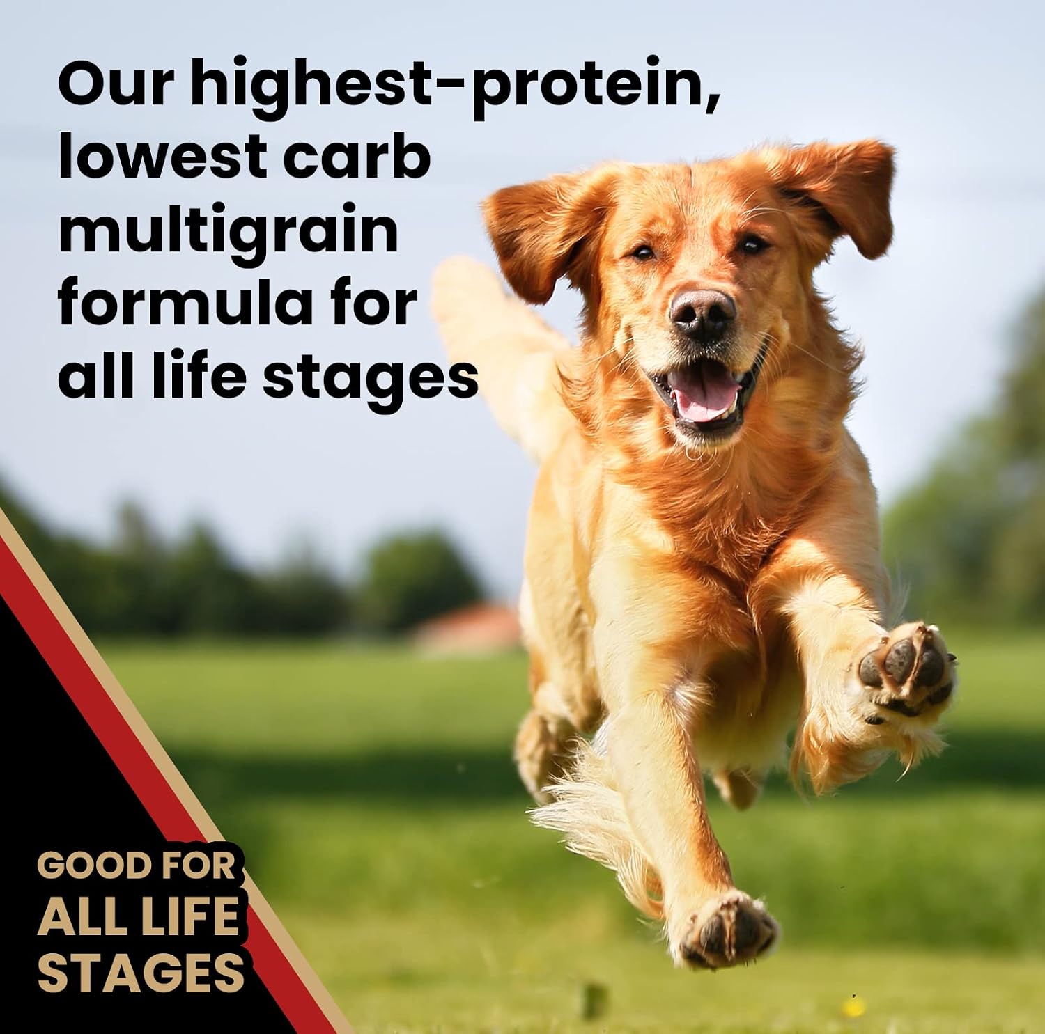 VICTOR Purpose Nutra Pro Dry Dog Food - High Protein Gluten-Free, 40 lb | Super Premium Dog Food, Low Carb Dry Kibble, For Active Dogs of All Ages, For Sporting, Pregnant or Nursing Dogs & Puppies