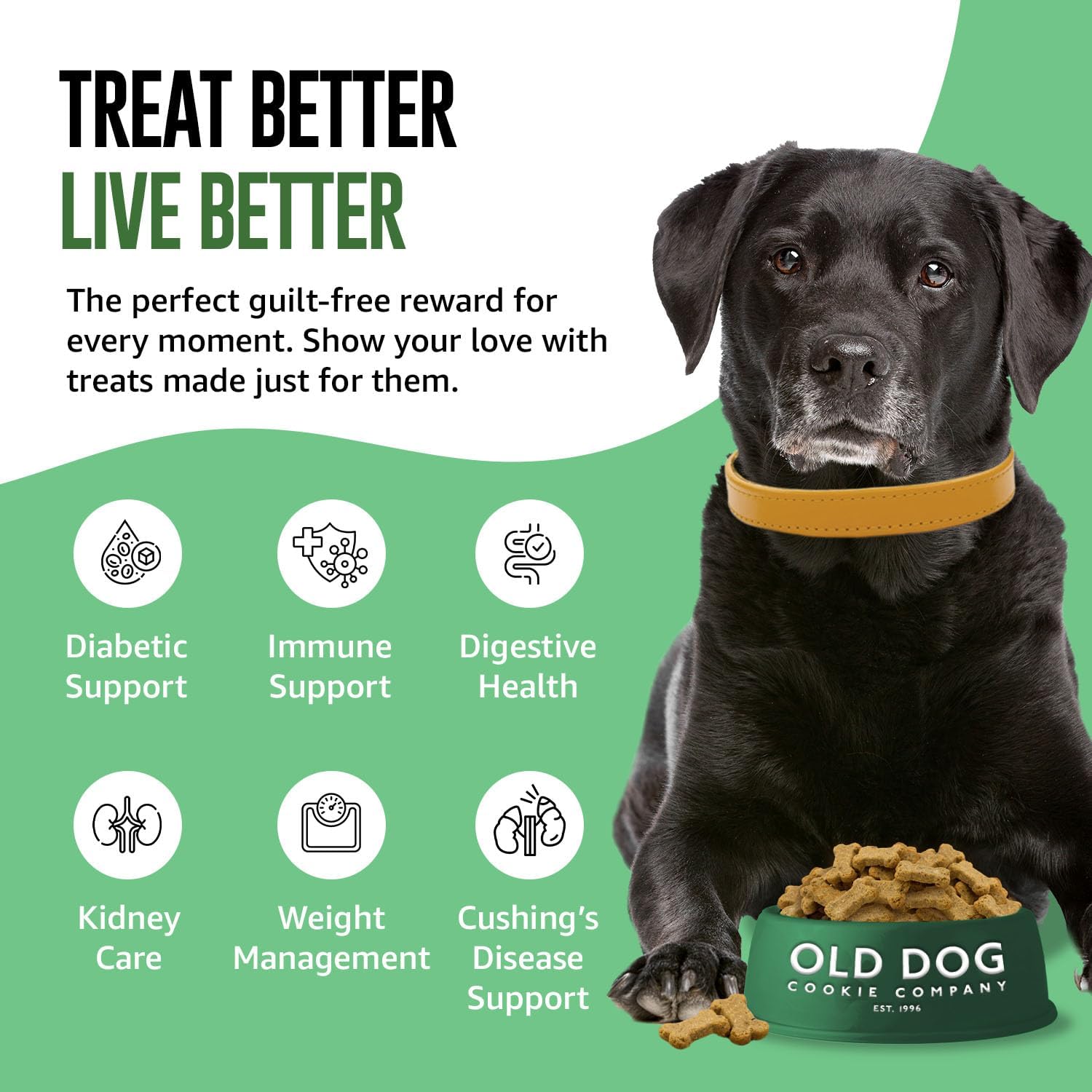 Old Dog Cookie Company Tiny Diabetic Dog Treats | All Natural, 2 Calorie, Vet Approved Pet Snacks | Top Treat for Dogs | Healthy Chews for Large