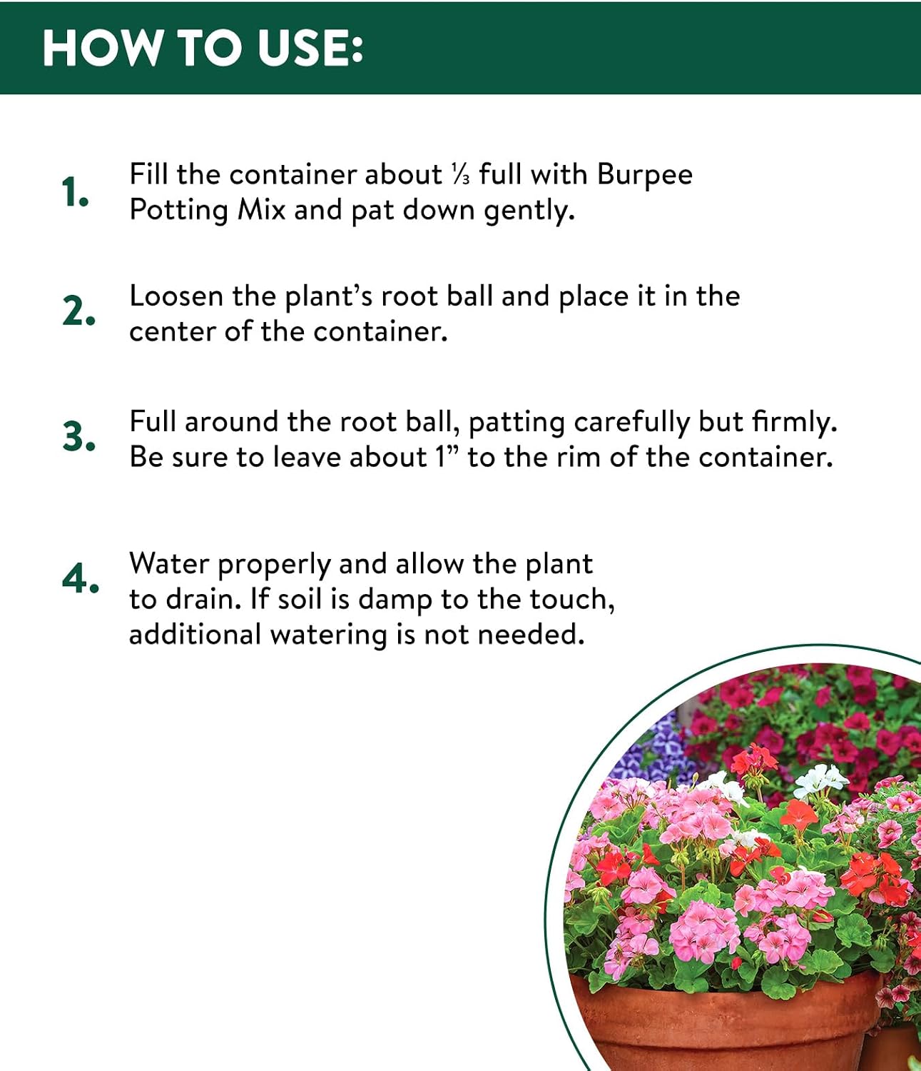 Burpee Natural Purpose Granular 4-Lb Organic Food for Growing Strong Plants | Good for Vegetable Garden, Flower Garden & Seed Starting, 4 lb, 4lb. Bag