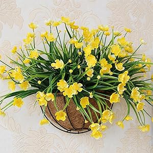Wall Hanging Planter