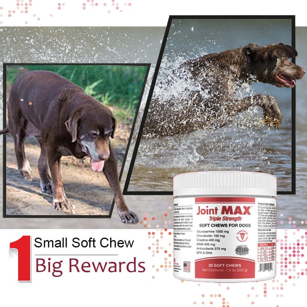 TS Joint Supplement Vet Formulated Pain & Inflammation Relief Treats Hip Dysplasia & Arthritis.Glucosamine, Chondroitin, Turmeric, MSM, HA, Creatine, Omega 3 EPA+DHA. All Dogs 240 Soft Chews