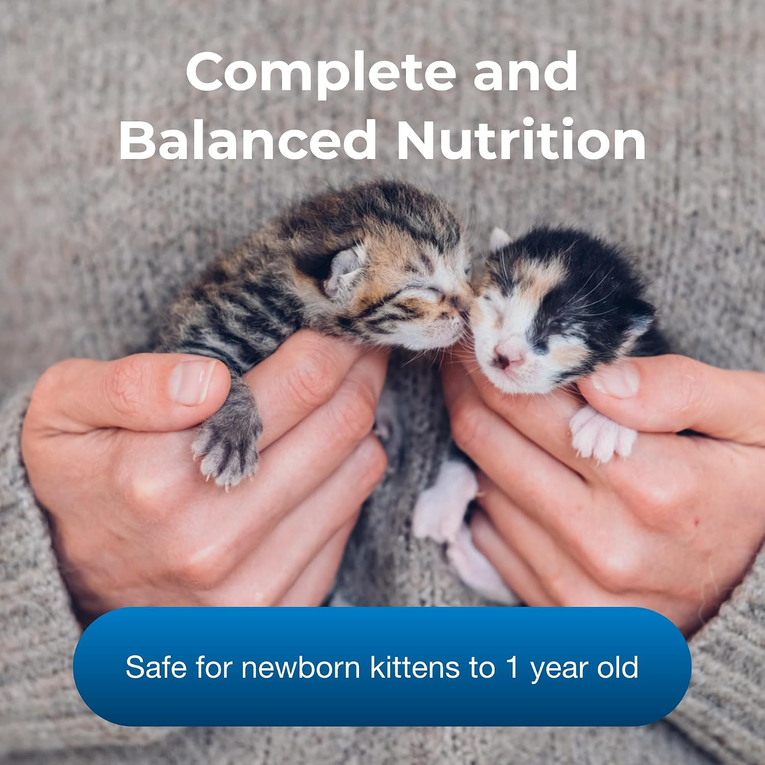PetAg KMR Kitten Milk Replacer Powder - 6 oz, Pack of 4 - Powdered Kitten Formula with Prebiotics