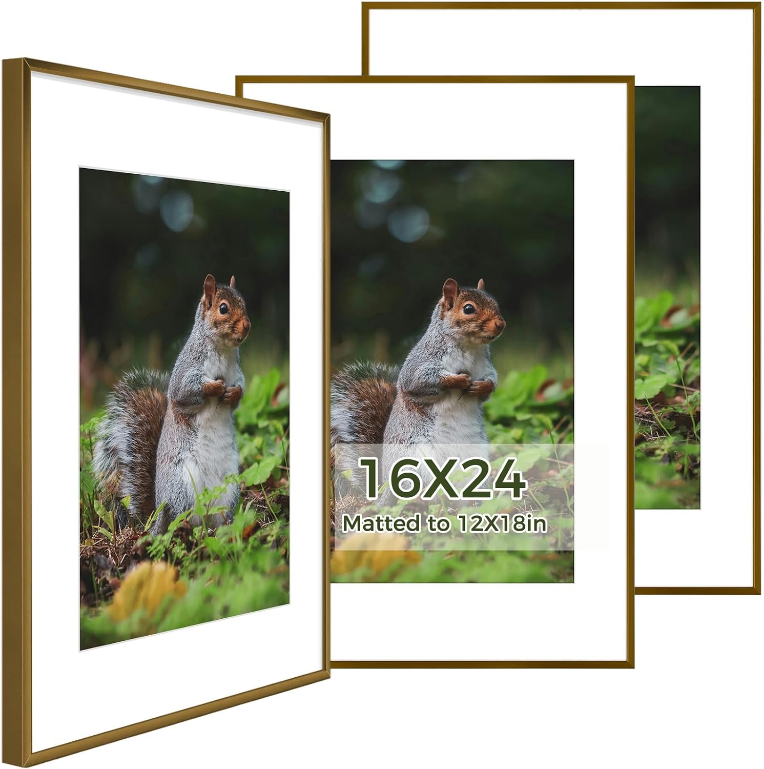 Golden State Art 3 Pack 12x12 Black Aluminum Frames, Real Glass Fronts