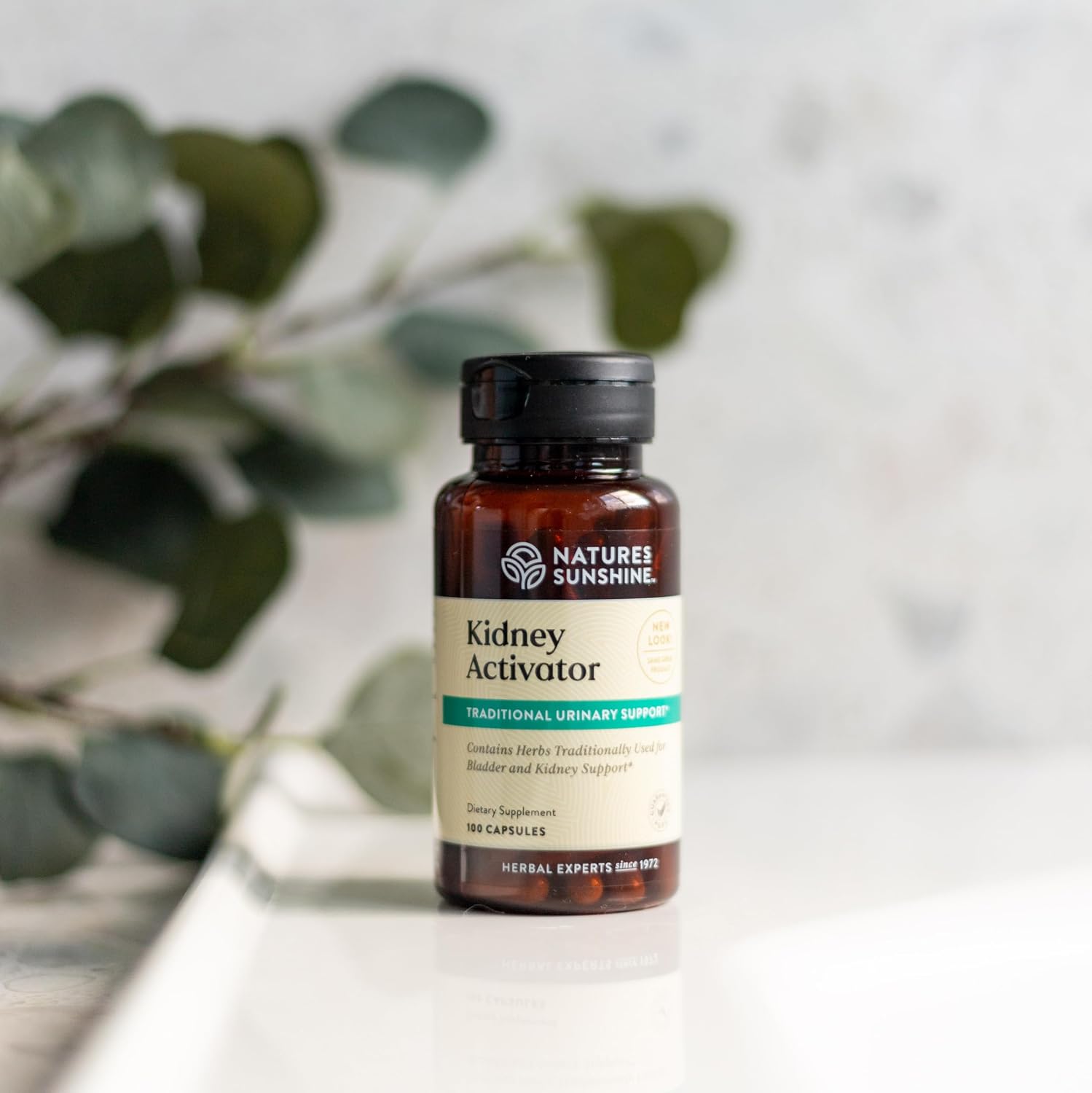 Nature's Sunshine Kidney Activator Capsules