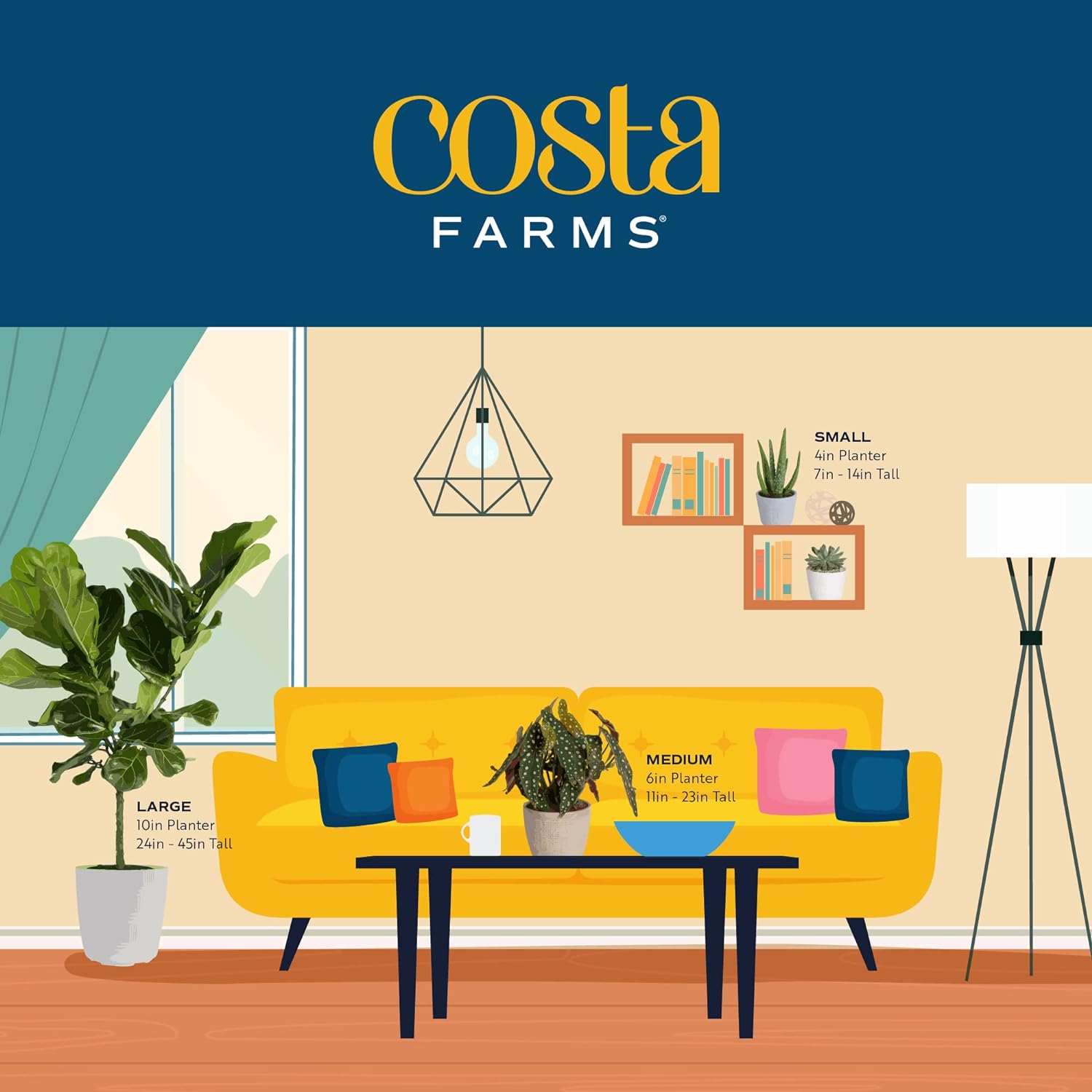Costa Farms Golden Pothos, Live Indoor Plant, Trailing Vine, Air Purifying | Fast-growing trailing vine, one of the easiest to grow. Great indoor houseplant. Ideal housewarming or birthday gift.
