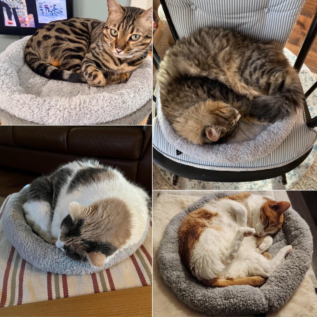 LESYPET Cat Bed for Indoor Cats, Soft Cat Cushion with Cat Pillow Around, Rectangle Kitten Pad Small Bed for Window Sill, 15'' x 10''
