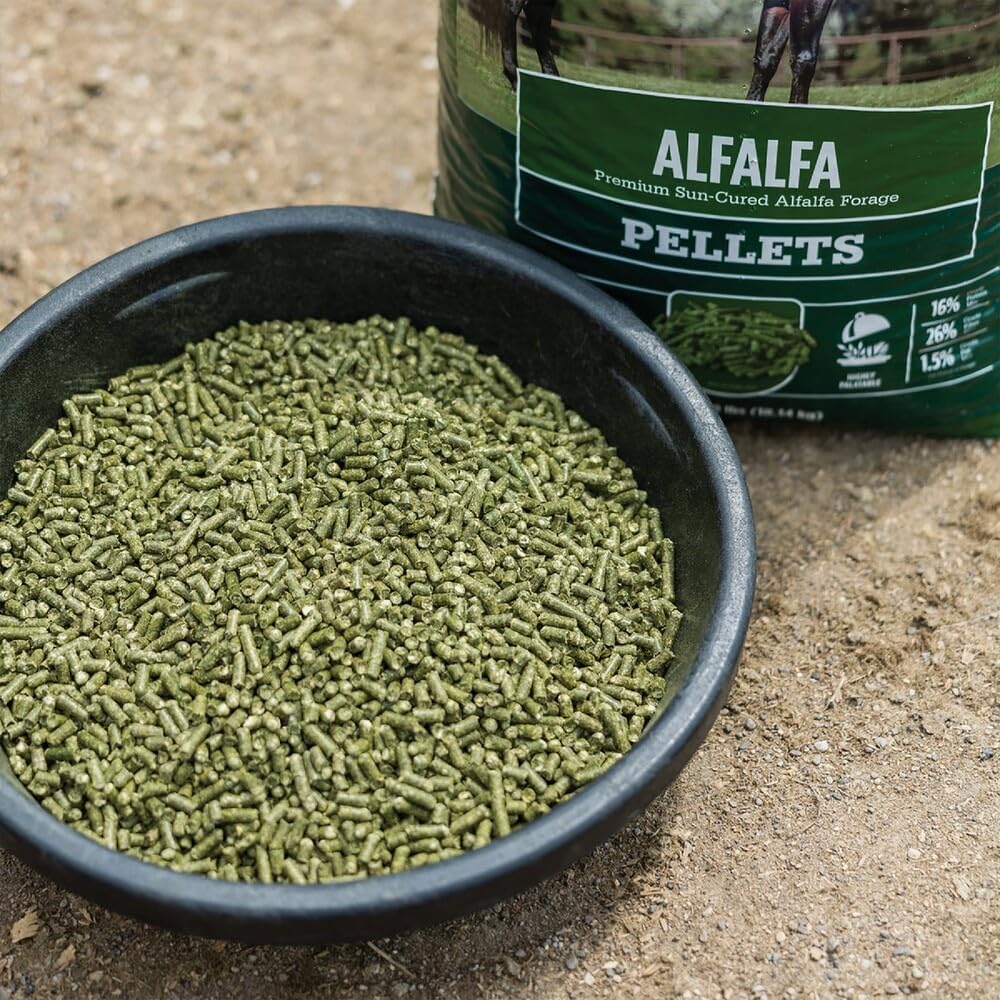 Standlee Premium Alfalfa Pellets for Horses, 40 lbs