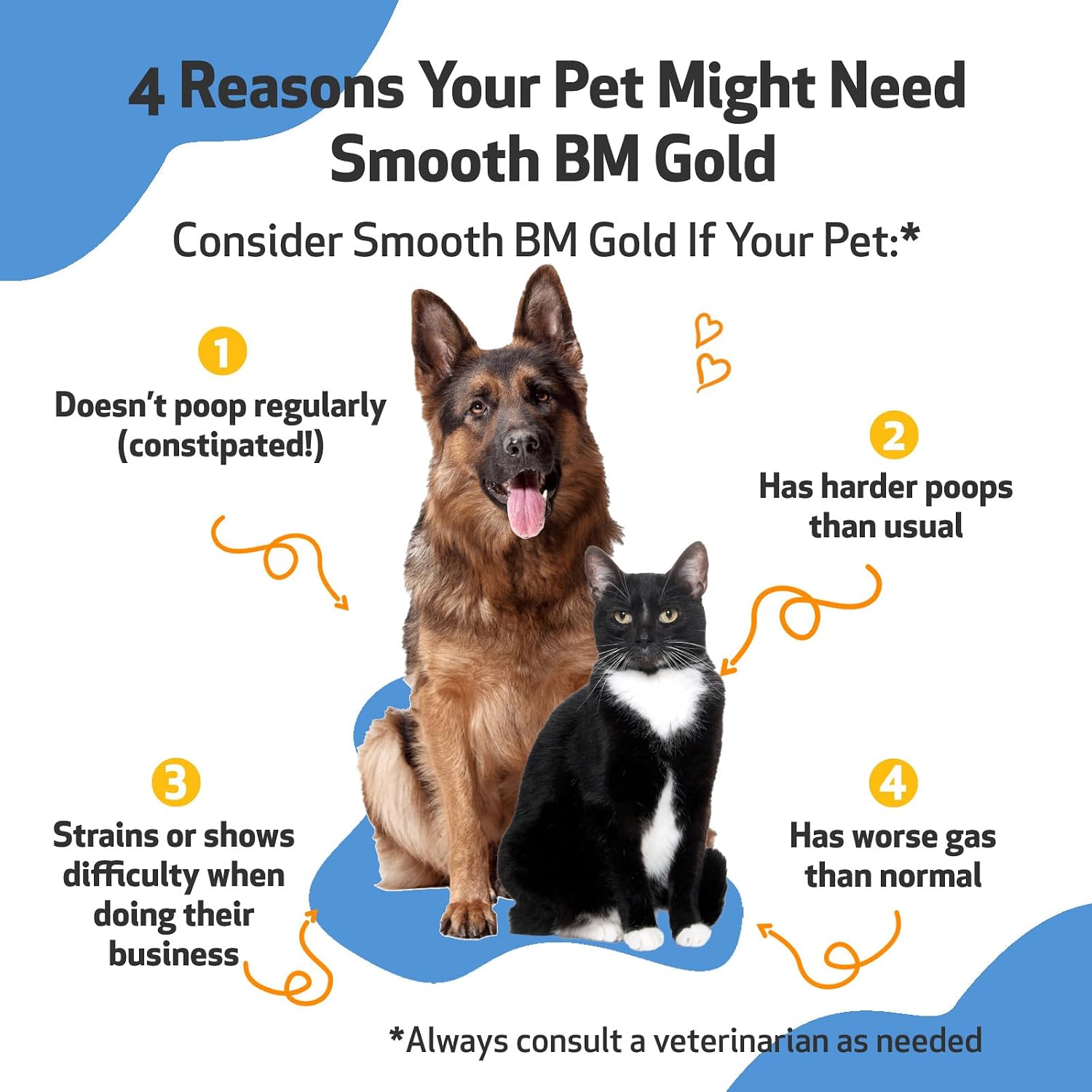 Pet Wellbeing Smooth BM Gold for Cats - Gentle Constipation Relief for Felines - Natural Herbal Supplement 2 oz (59 ml) | NASC Certified & Vet-Formulated Liquid Digestive Supplement with Triphala for Healthy Bowel Movements & Stool Consistency