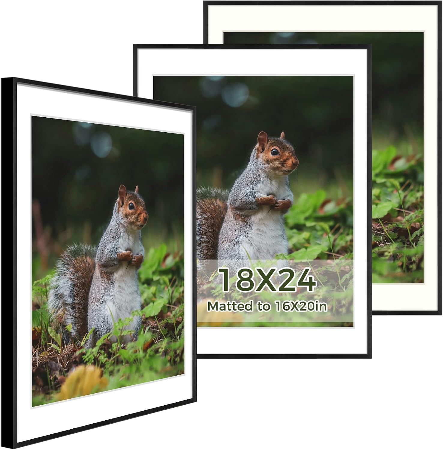 Golden State Art 3 Pack 12x12 Black Aluminum Frames, Real Glass Fronts