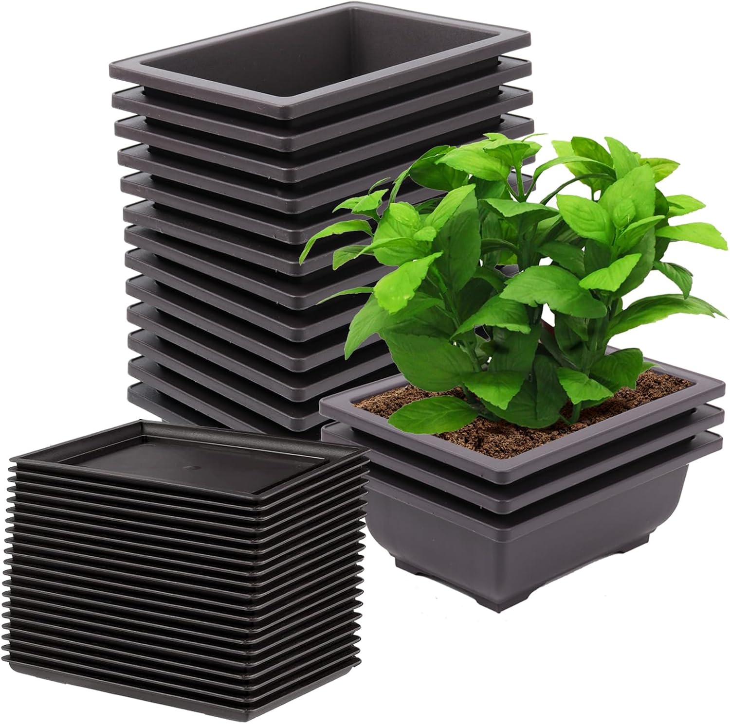 15 PCS 6.5 Inch Bonsai Training Pots with Trays, Rectangular Plastic Growing Pots, Flower Succulent Pots Container for Garden, Yard, Office, Porch