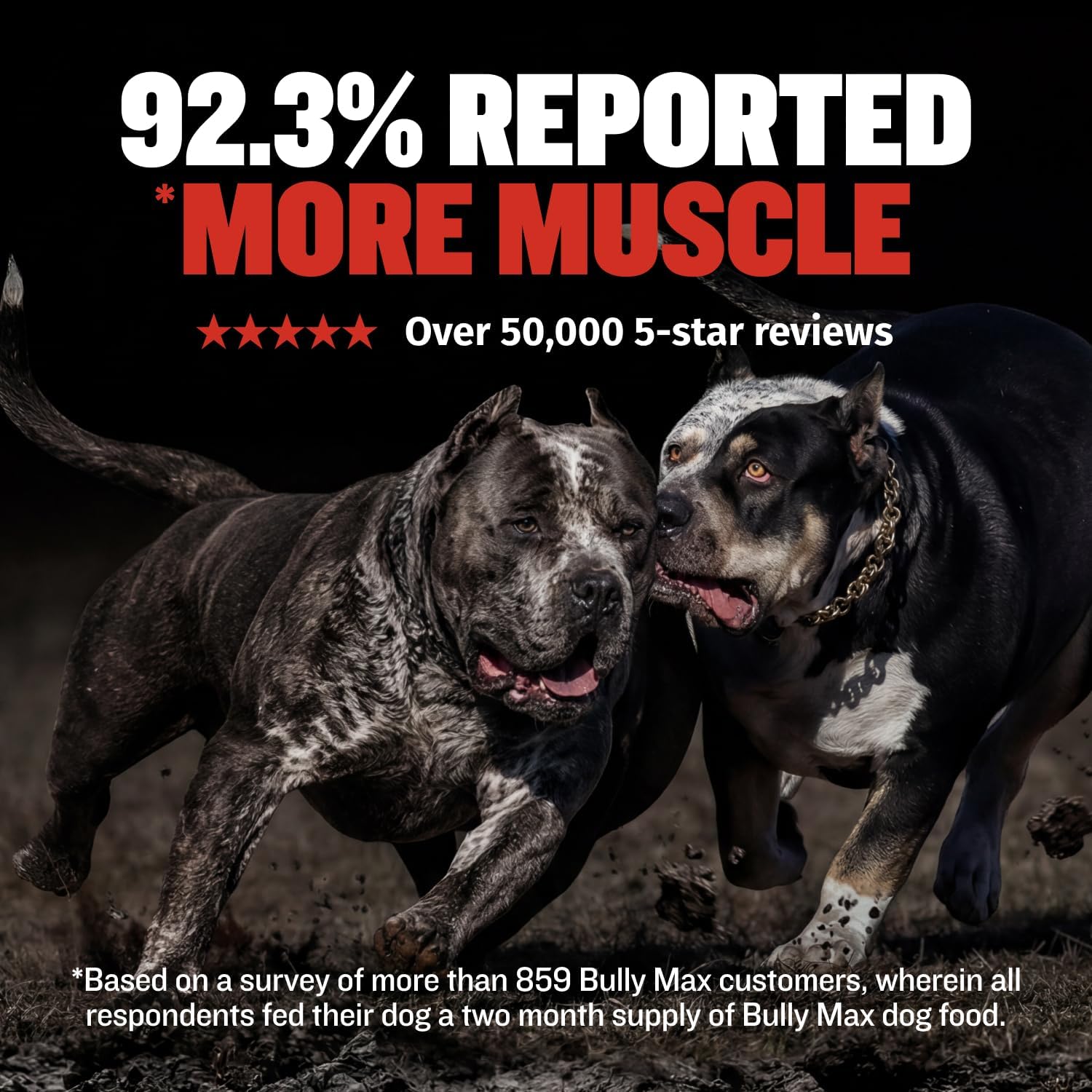 Bully Max Dry Dog Food for Adults & Puppies - High Protein & Fat for Muscle & Weight Gain - High Performance Dog Food Supplements - Small & Large Breed Dogs (535 Calories Per Cup), Chicken, 15lb Bag