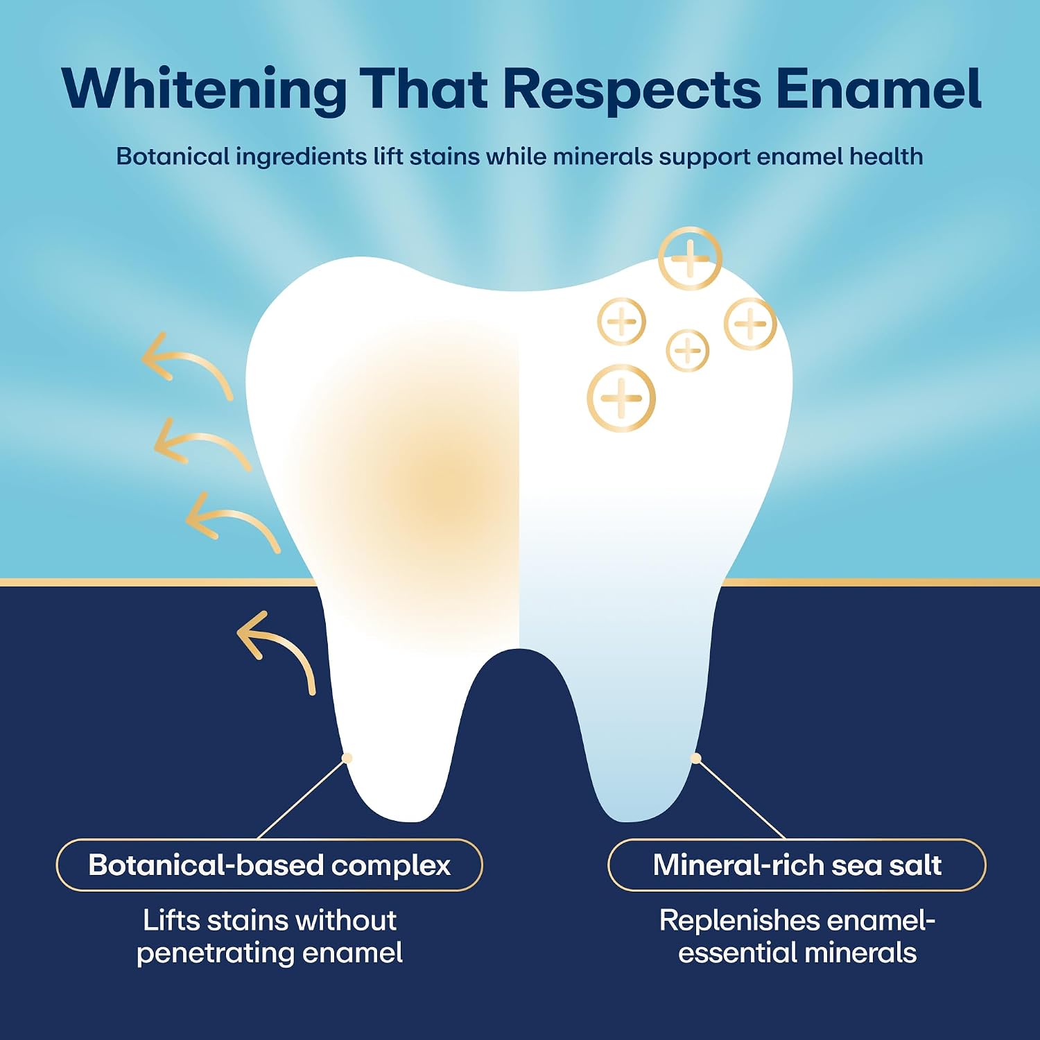 Lumineux Teeth Whitening Toothpaste, Peroxide Free, 3.75 oz, 2 Pack | Enamel safe, fluoride free, alcohol free, no artificial colors, SLS free, dentist formulated, gentle for sensitive smiles