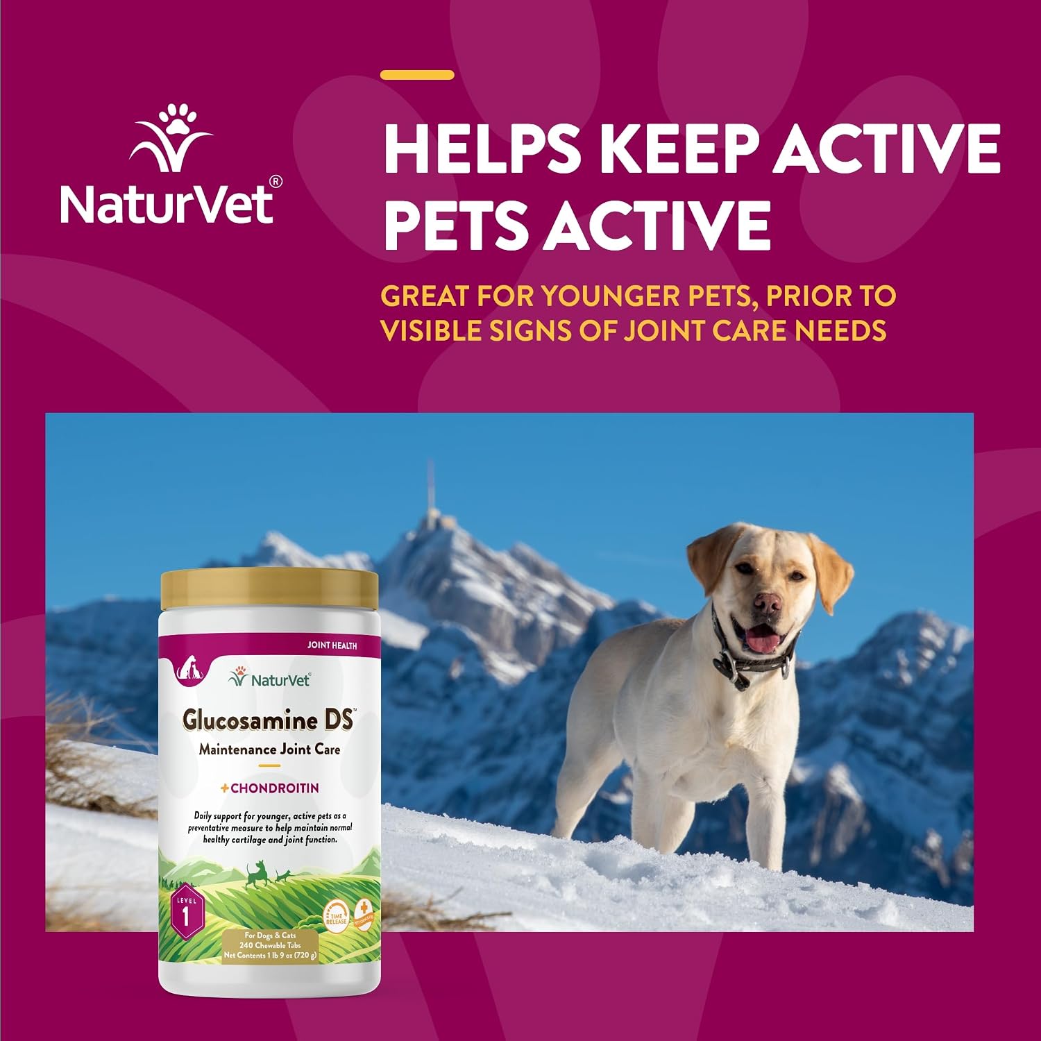 NaturVet – Glucosamine DS Plus - Level 2 Moderate Care – Supports Healthy Hip & Joint Function – Enhanced with Glucosamine, MSM & Chondroitin – for Dogs & Cats–70 Soft Chews