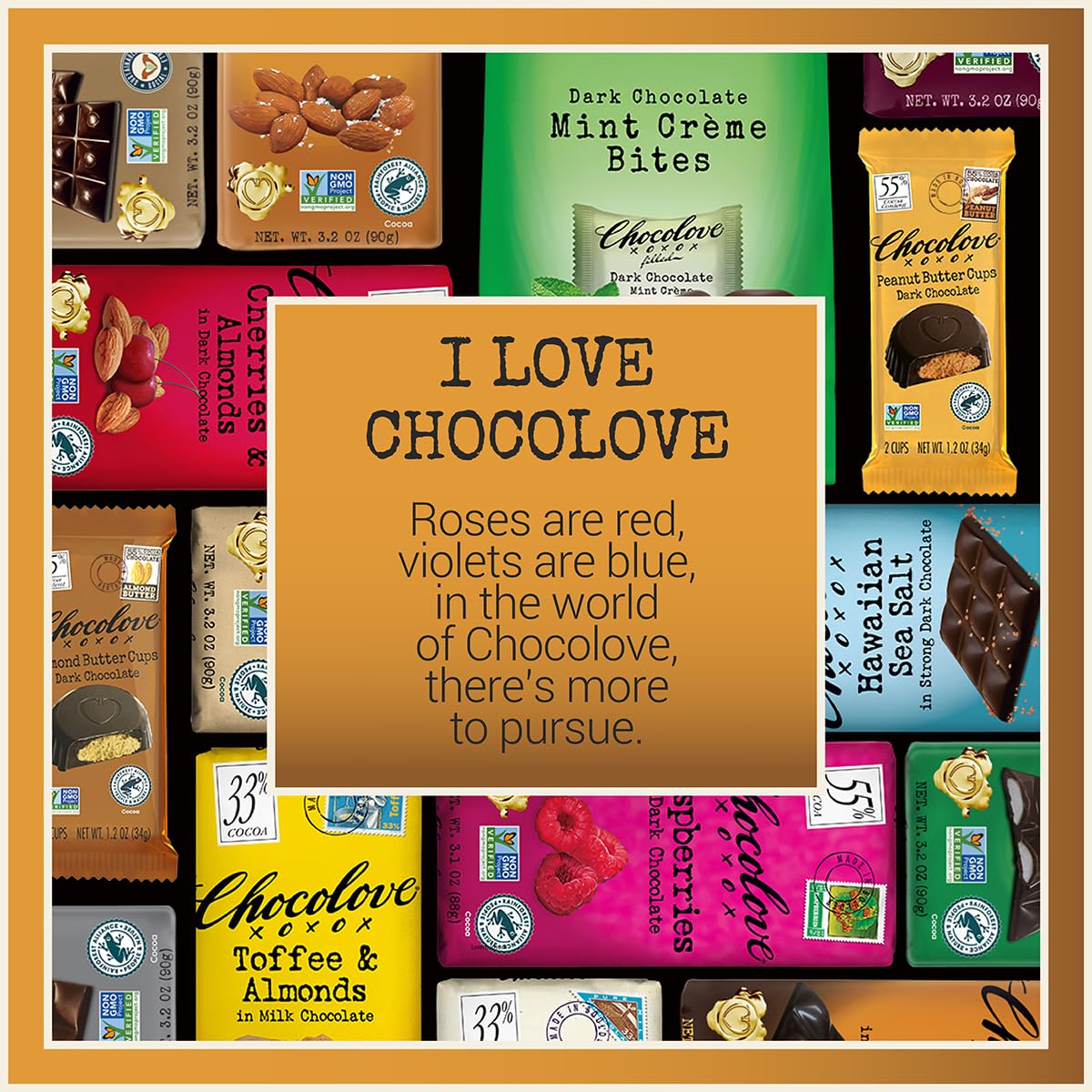 Chocolove Salted Caramel Chocolate Bars | 55% Cocoa | Silky Caramel with a Hint of Salt | Made with Premium Chocolate | Non-GMO, & Gluten-Free, 3.2 oz Bar (10 Pack)