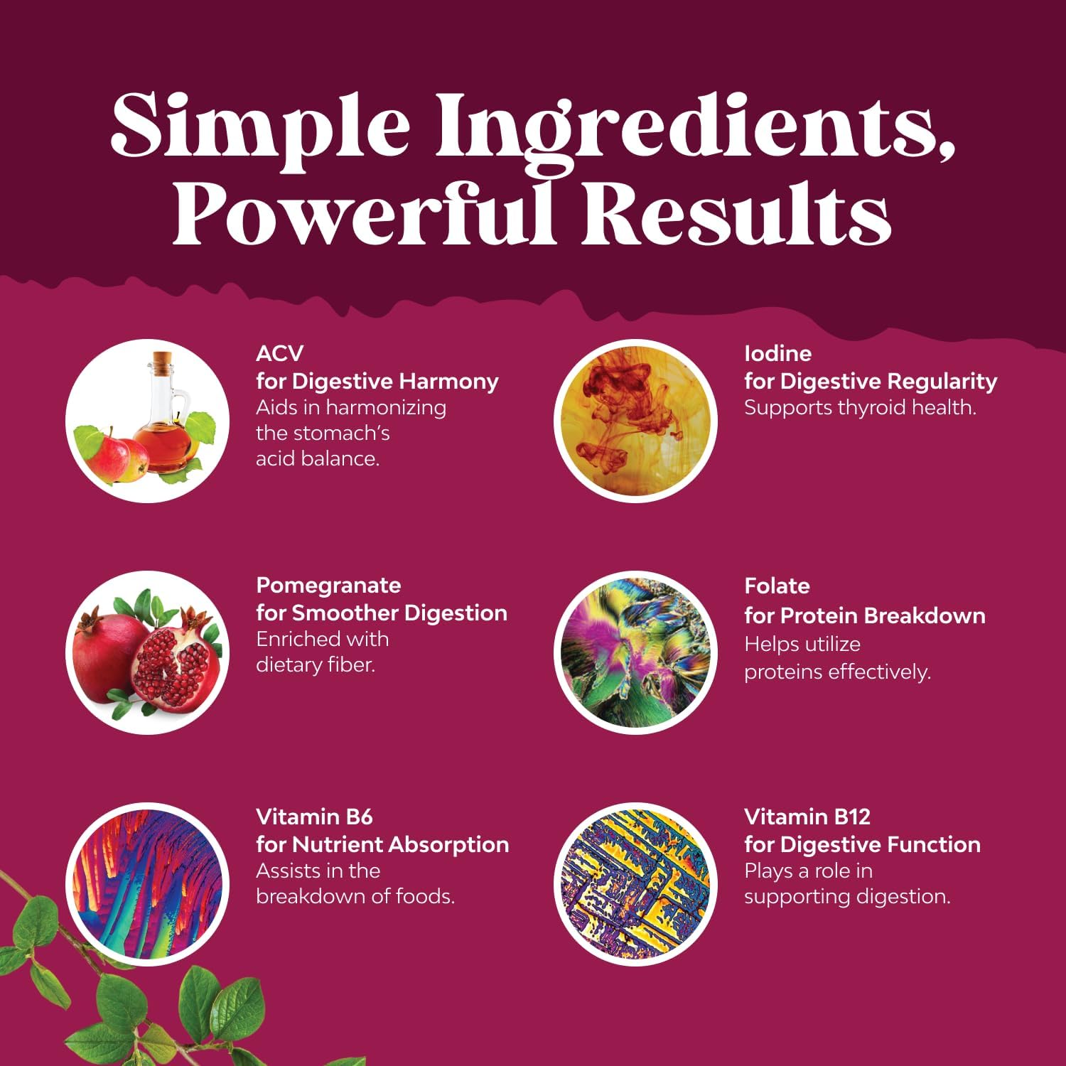 Apple Cider Vinegar Gummies - Energy and Metabolic Support - 60 Count