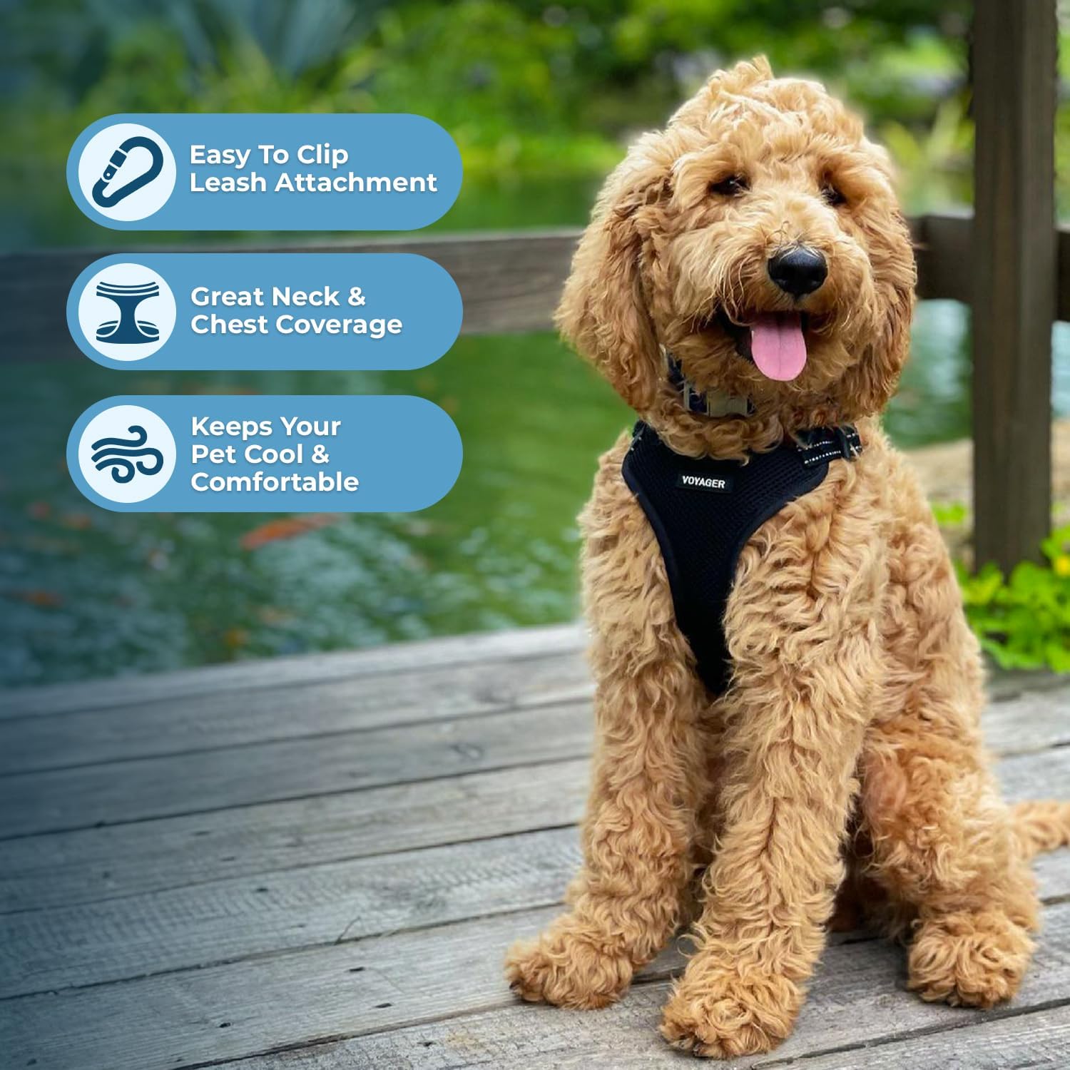 Voyager Step-in Flex Adjustable Dog Harness - Black, Medium | 17 - 21" in Chest, Fully Adjustable, Reflective Bands, All Weather Breathable Air Mesh, Lightweight, Fast Drying