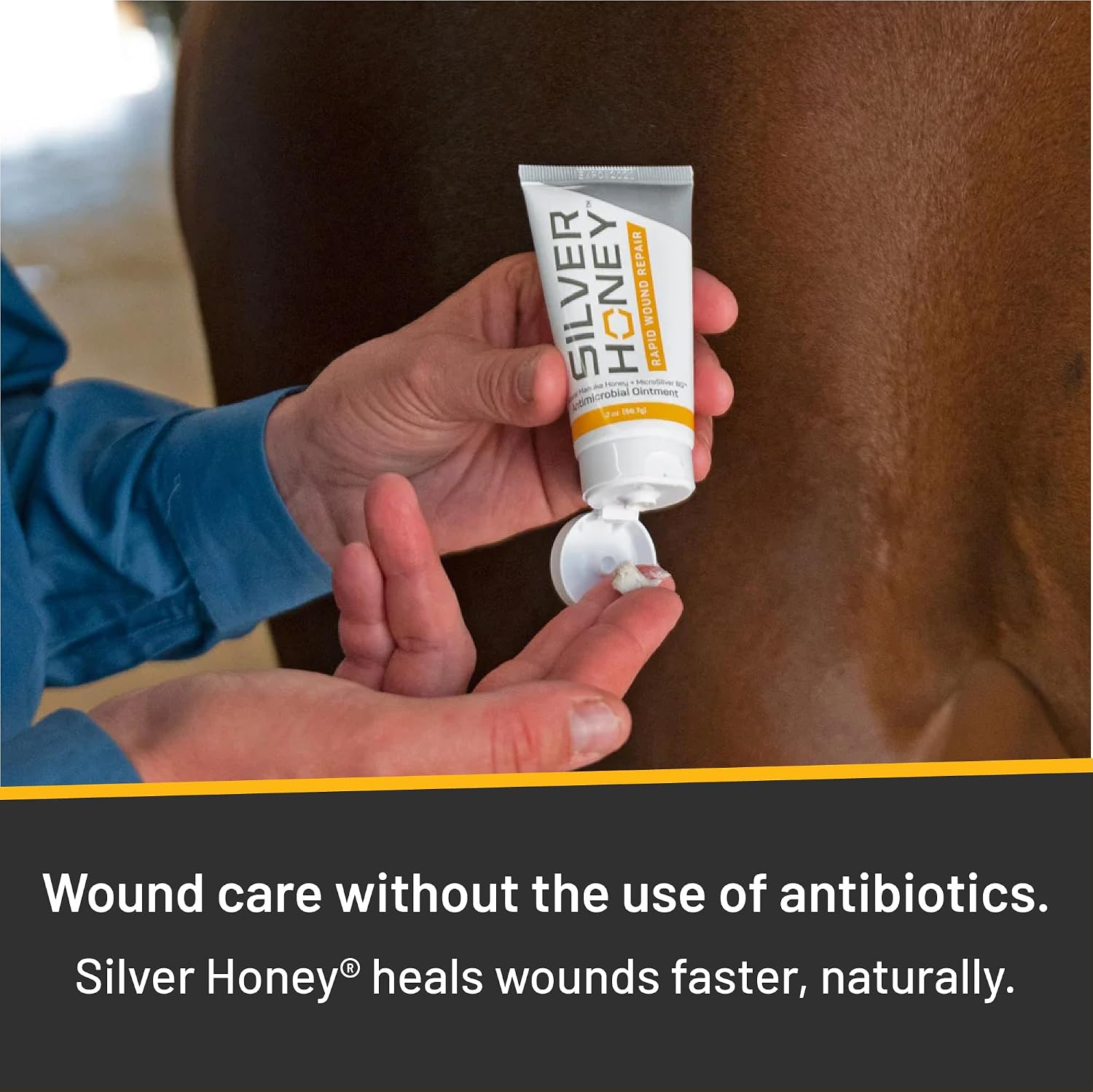 Silver Honey Rapid Wound Repair Ointment, 2 oz Tube