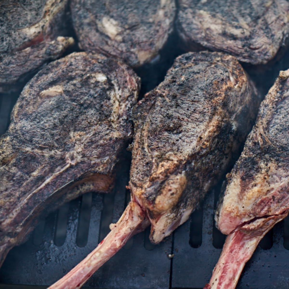 Hardcore Carnivore Black | All-Purpose Beef Seasoning Rub, 13oz Shaker