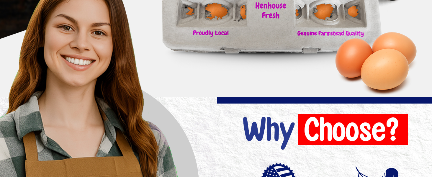 B09WKR1X7F Pecking Order B08DL54ZZ5 MT Products B0CYYVBW79 DecarDamai B073R964C9 B0CYZG27X4