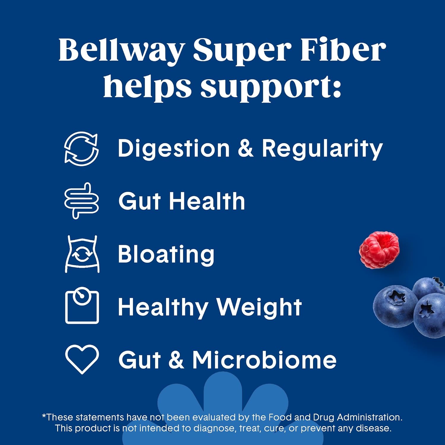 Bellway Super Fiber + Fruit, Organic Psyllium Husk Powder, Sugar-Free