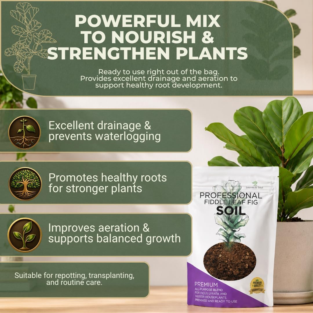 Professional Bonsai Soil Mix Ready to Use | Large 2.2 Quarts, Premium Potting Soil for Bonsai Trees
