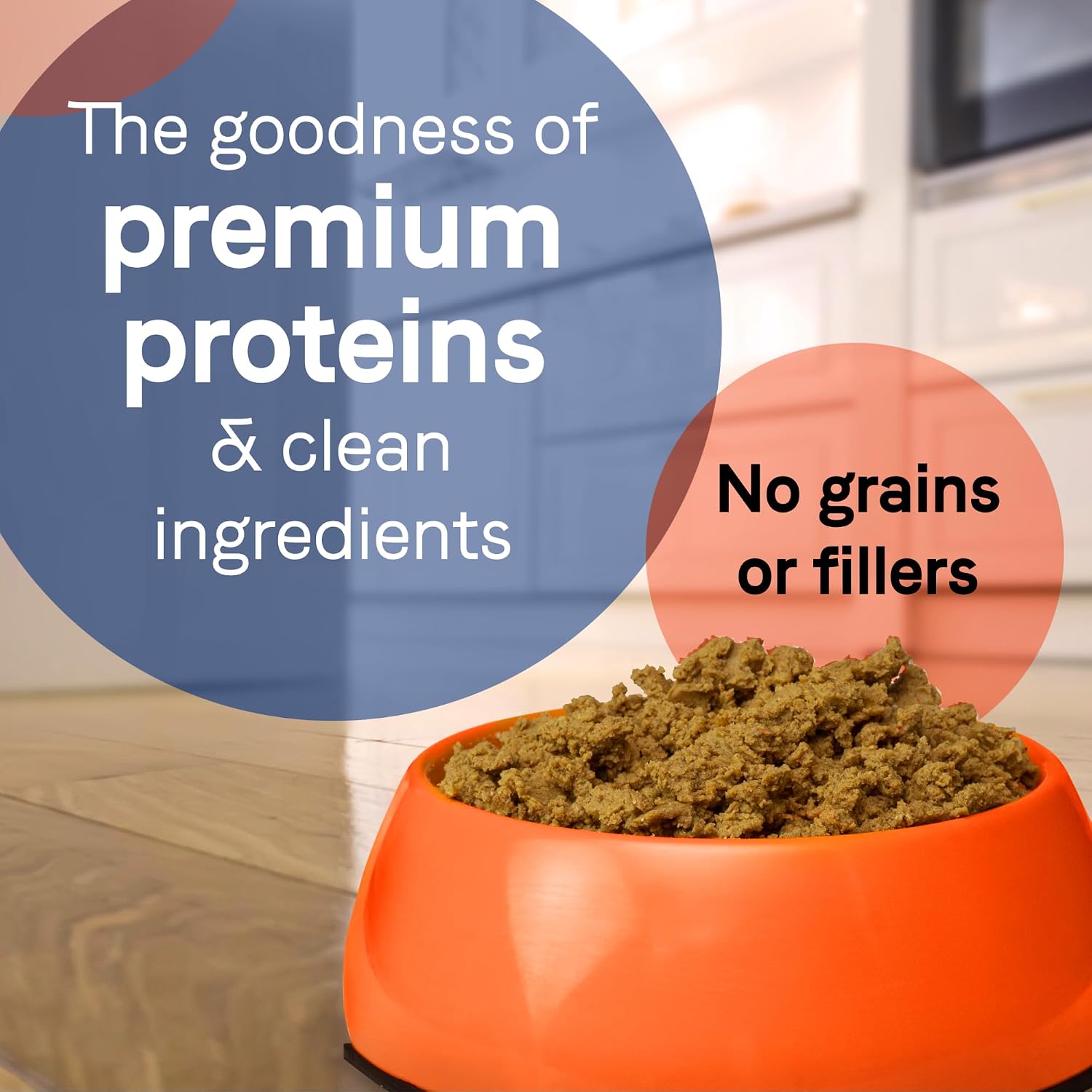 CANIDAE Pure Goodness Wet Dog Food, Salmon & Sweet Potato, 13 oz, 12 Pack