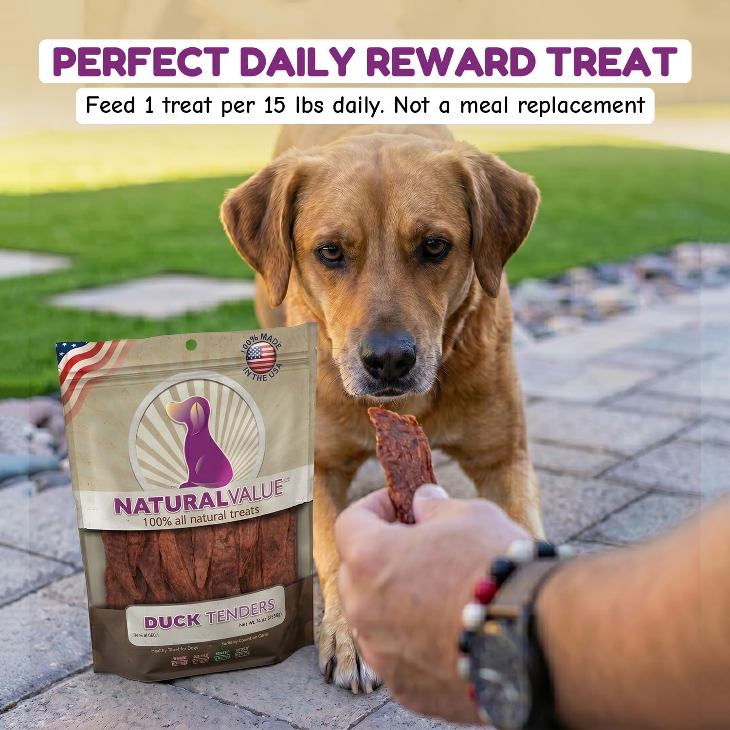 Loving Pets Natural Value Beef Sticks - Soft Jerky Dog Treats for Large & Small Breeds - Healthy Gluten, Wheat, Soy & Grain Free Pet Treats for Dogs