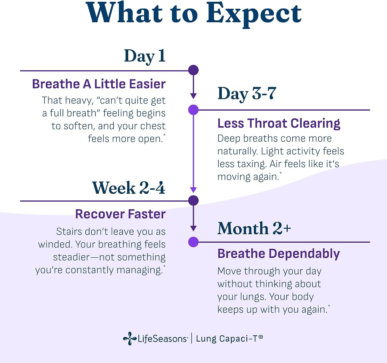 Lung Capaci-T - Respiratory Support Supplement - CoQ10, N-Acetyl Cysteine, Boswellia, Eucalyptus, Mullein, Green Tea