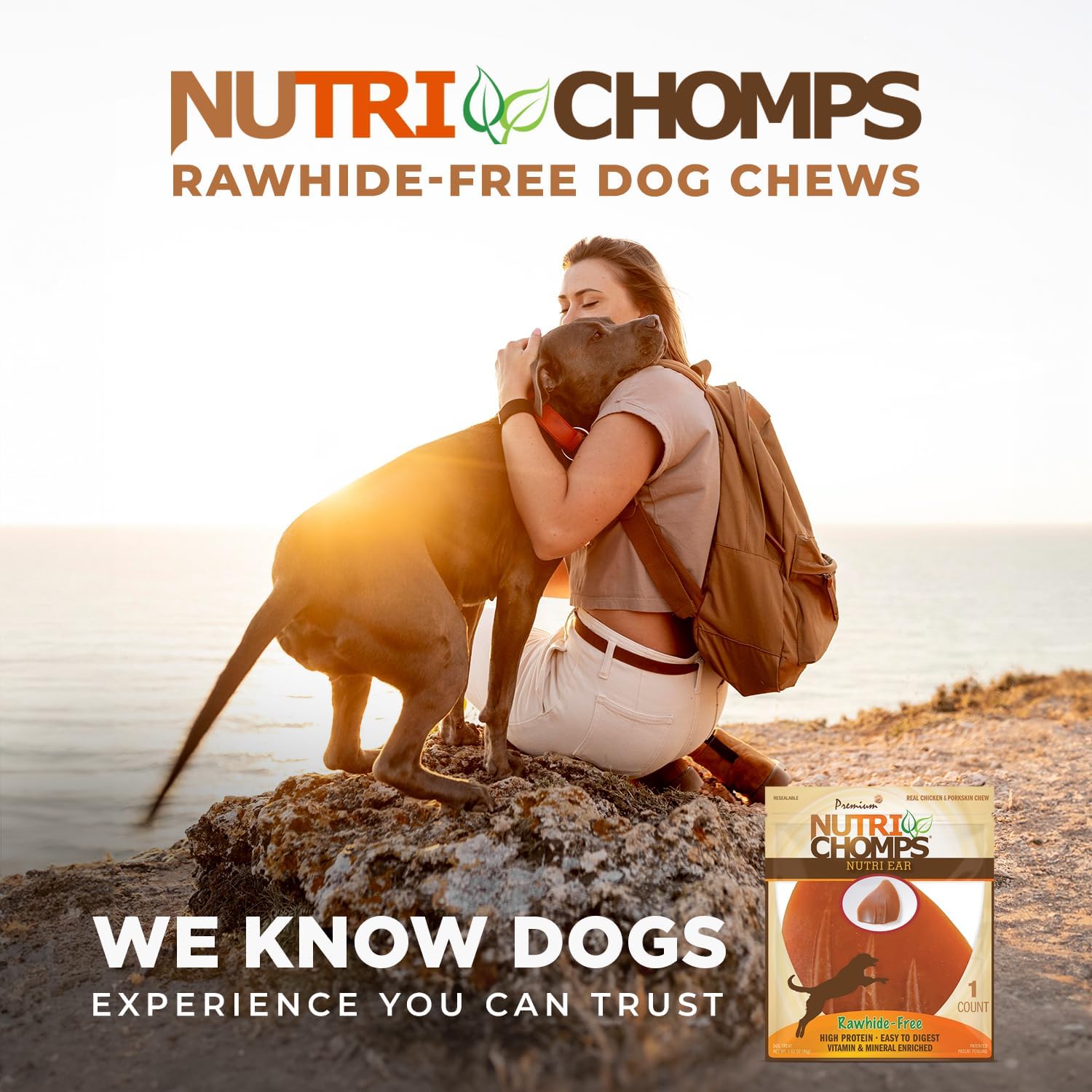 NutriChomps Rawhide-Free Dog Chews, Ear-Shaped, Chicken, 10 Count