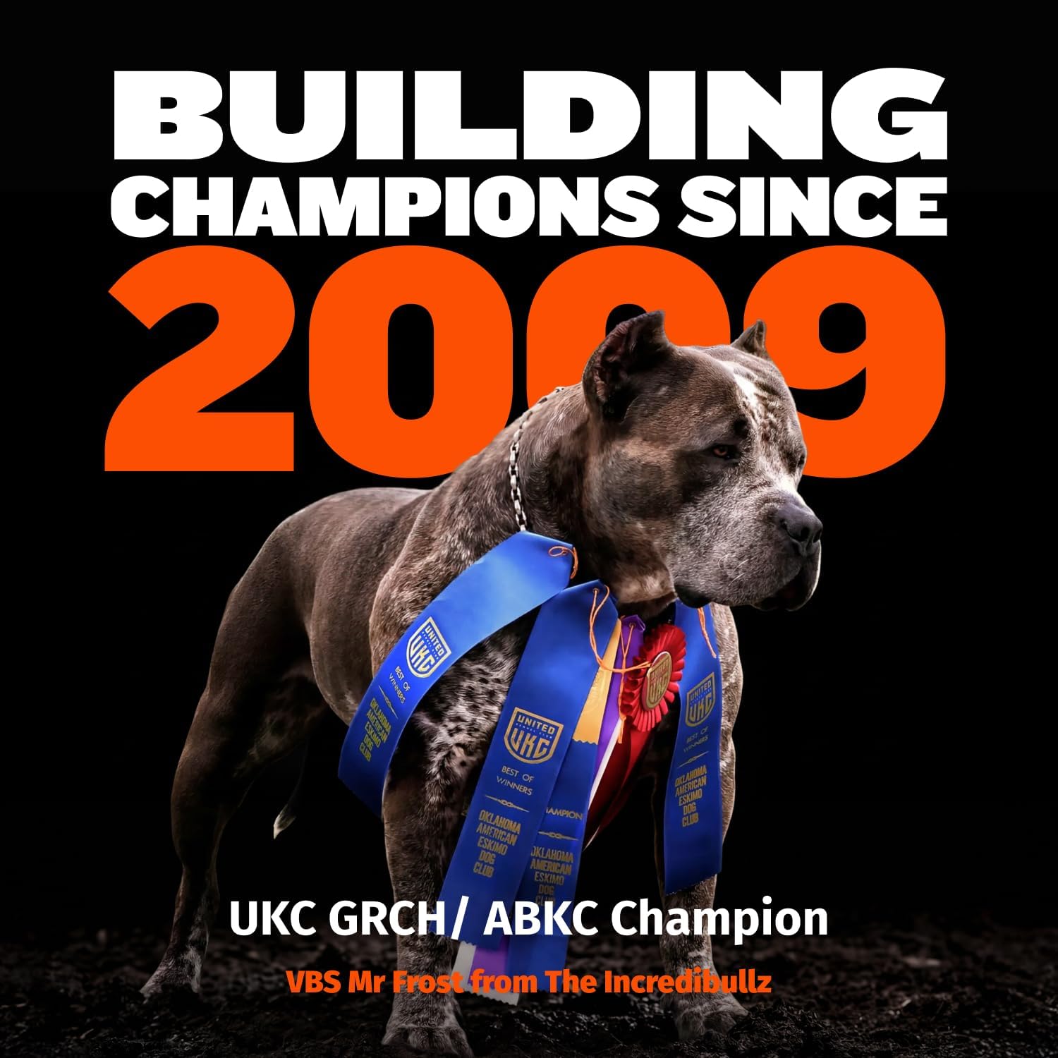 Bully Max Dry Dog Food for Adults & Puppies - High Protein & Fat for Muscle & Weight Gain - High Performance Dog Food Supplements - Small & Large Breed Dogs (535 Calories Per Cup), Chicken, 15lb Bag