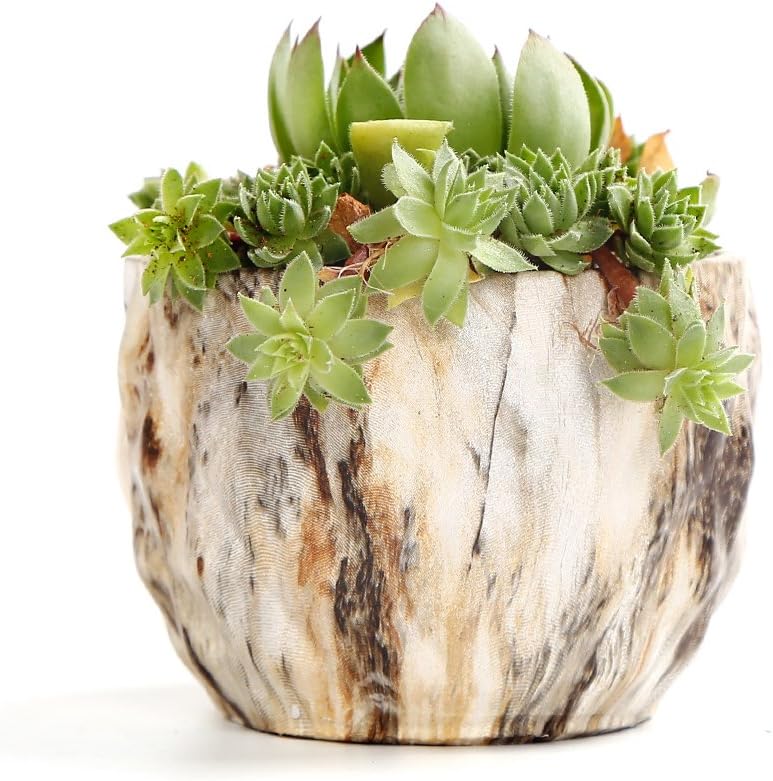 SE SUN-E Sun-E Modern Style Marbling Ceramic Flower Pot Succulent/Cactus Planter Pots Container Bonsai Planters with Hole 3.35 Inch Gift Idea(4 in