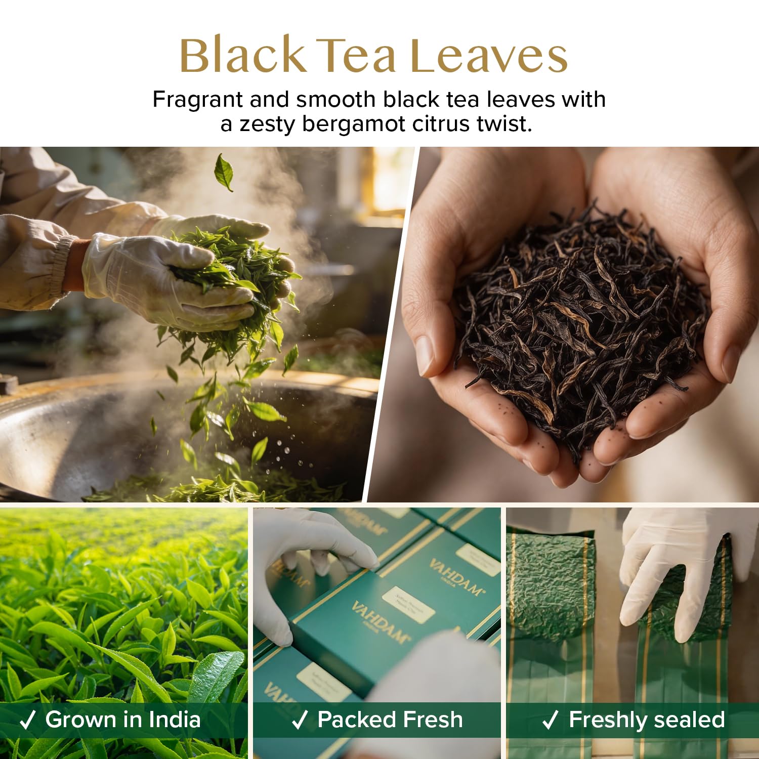 VAHDAM, Green Tea Leaves From Himalayas 170+ Cups (12oz) High Elevation Grown Green Tea Leaves From Himalayas | Pure Unblended Single Origin Green Loose Leaf Tea | Vacuum Sealed