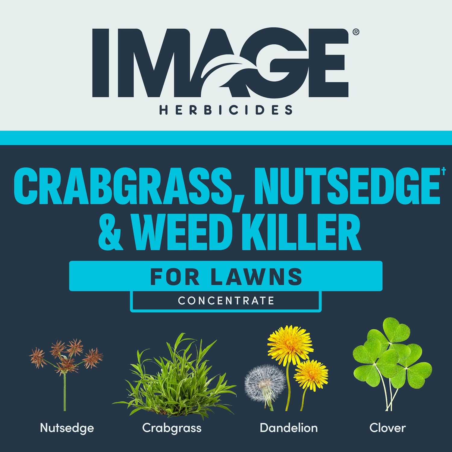 Image Herbicide Crabgrass, Nutsedge, & Weed Killer for Lawns, 24 fl oz | Ready-to-spray weed spray, water based formula