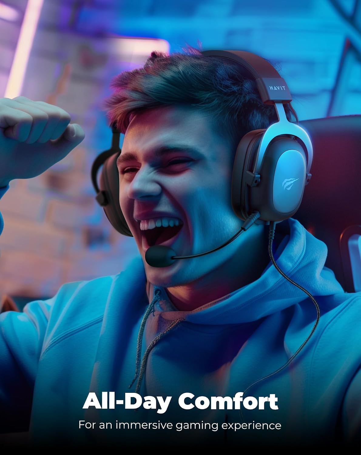 havit H2002d Gaming Headsets for PS4, PC