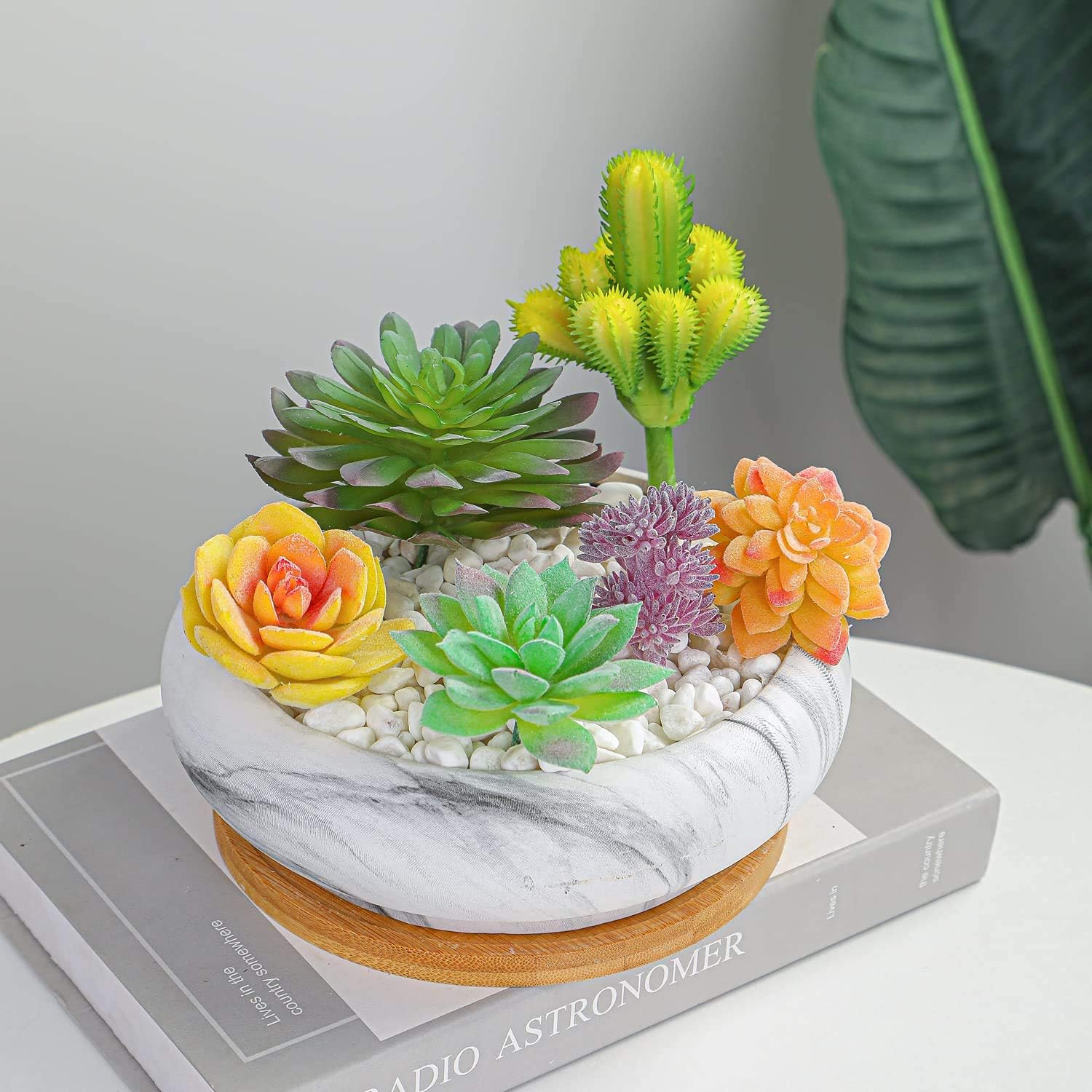 Succulent Pots, 7.3'' Large Bonsai Pots with Tray, Shallow Planters