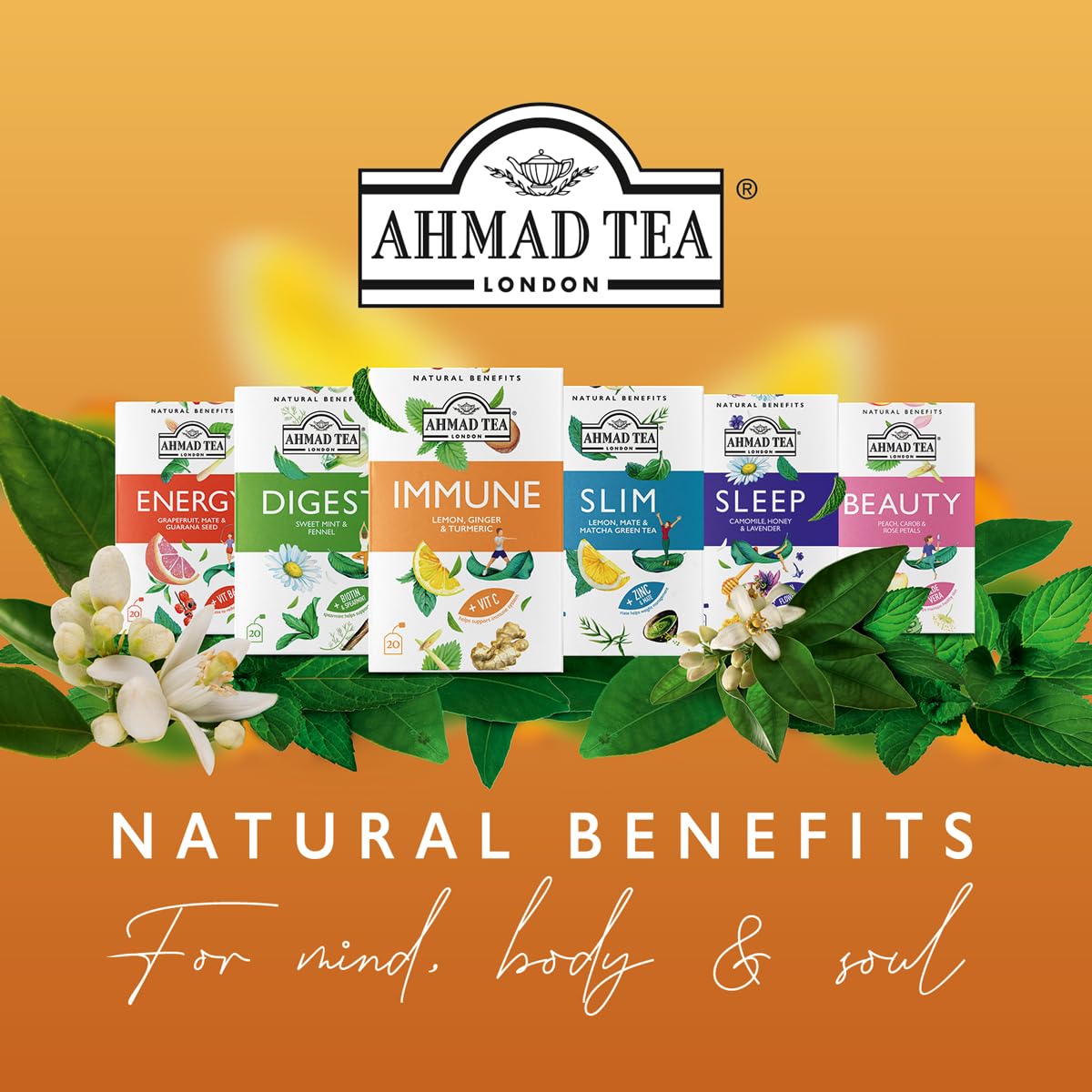 Ahmad Tea Green Tea, Evergreen Selection Pack Teabags, 60 Foil Teabags - Caffeinated & Sugar-Free